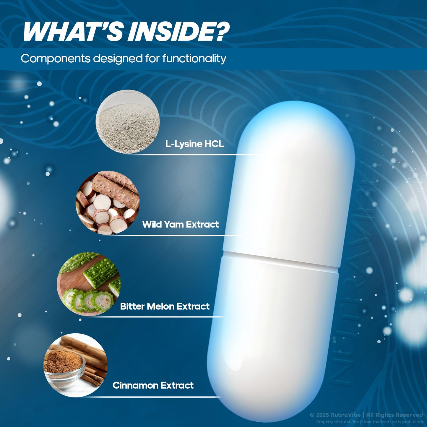 NutraVibe AlphaCur Capsules, 120 Capsules