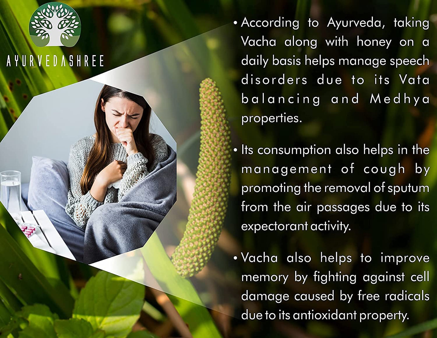 AYURVEDASHREE Calamus Powder 7.0548 oz