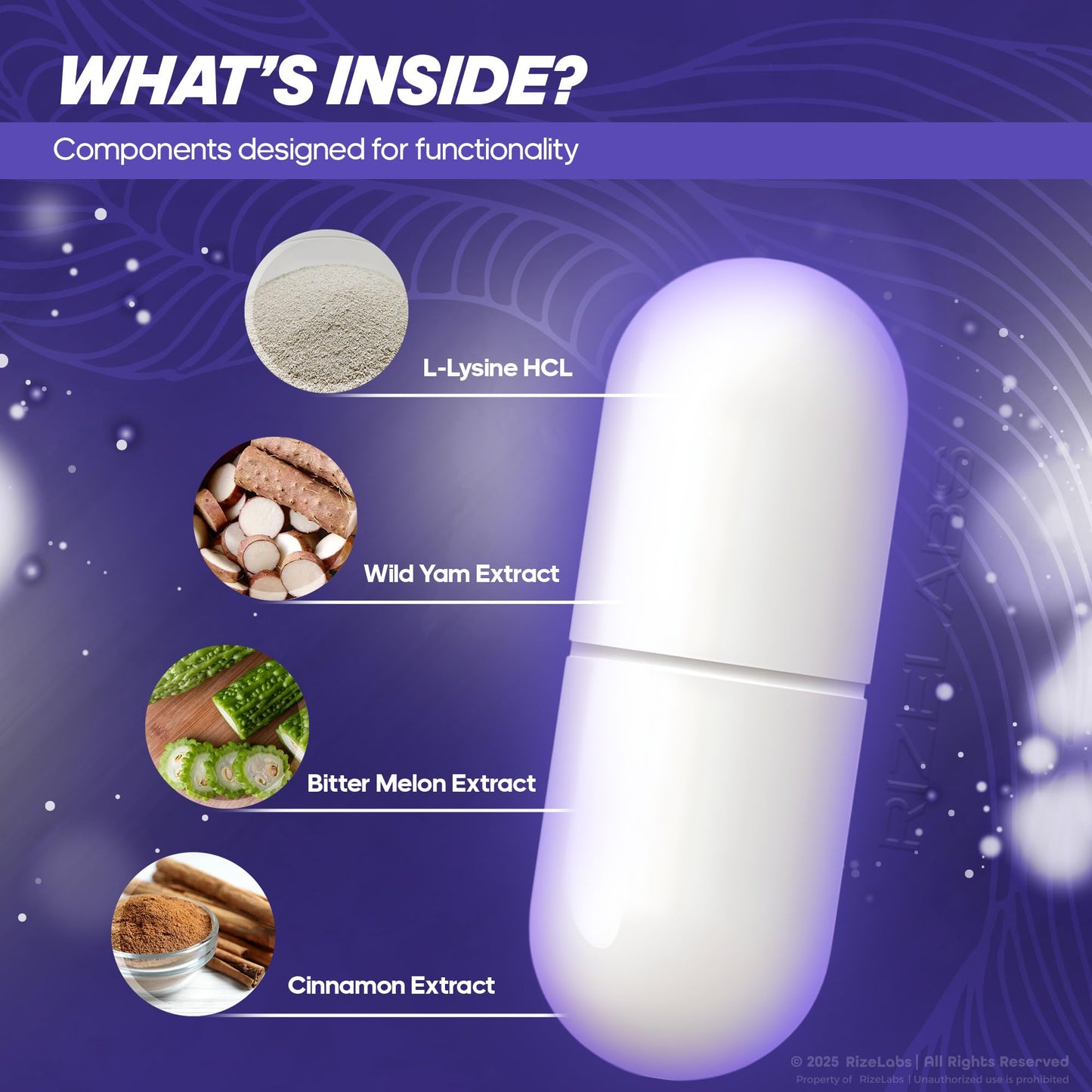 Rize Labs Neuro Tonix Capsules, 300 Capsules