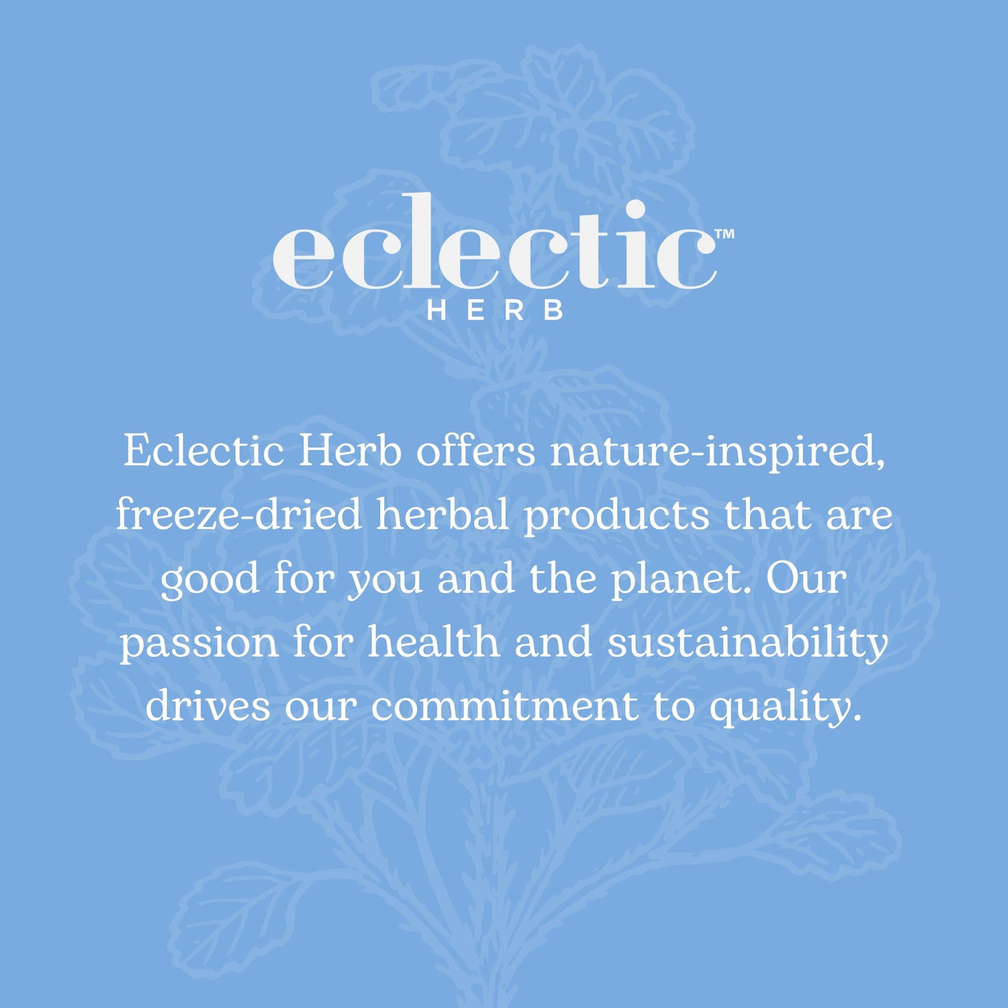 Eclectic Institute Cordyceps FDV Capsules, 120