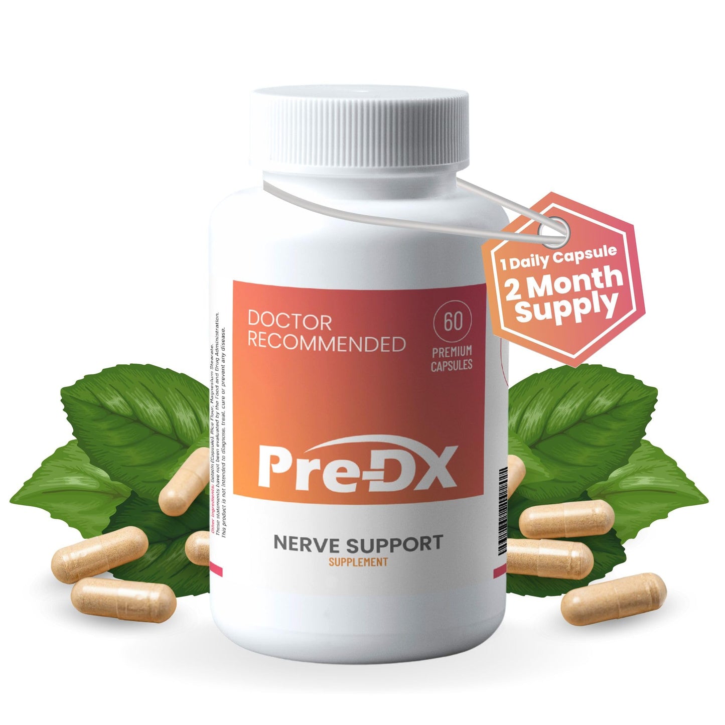 Pre-DX Nerve Support Supplement Advanced L-Methylfolate Multivitamin with Vitamin B-Complex, Capsules, 60 Count
