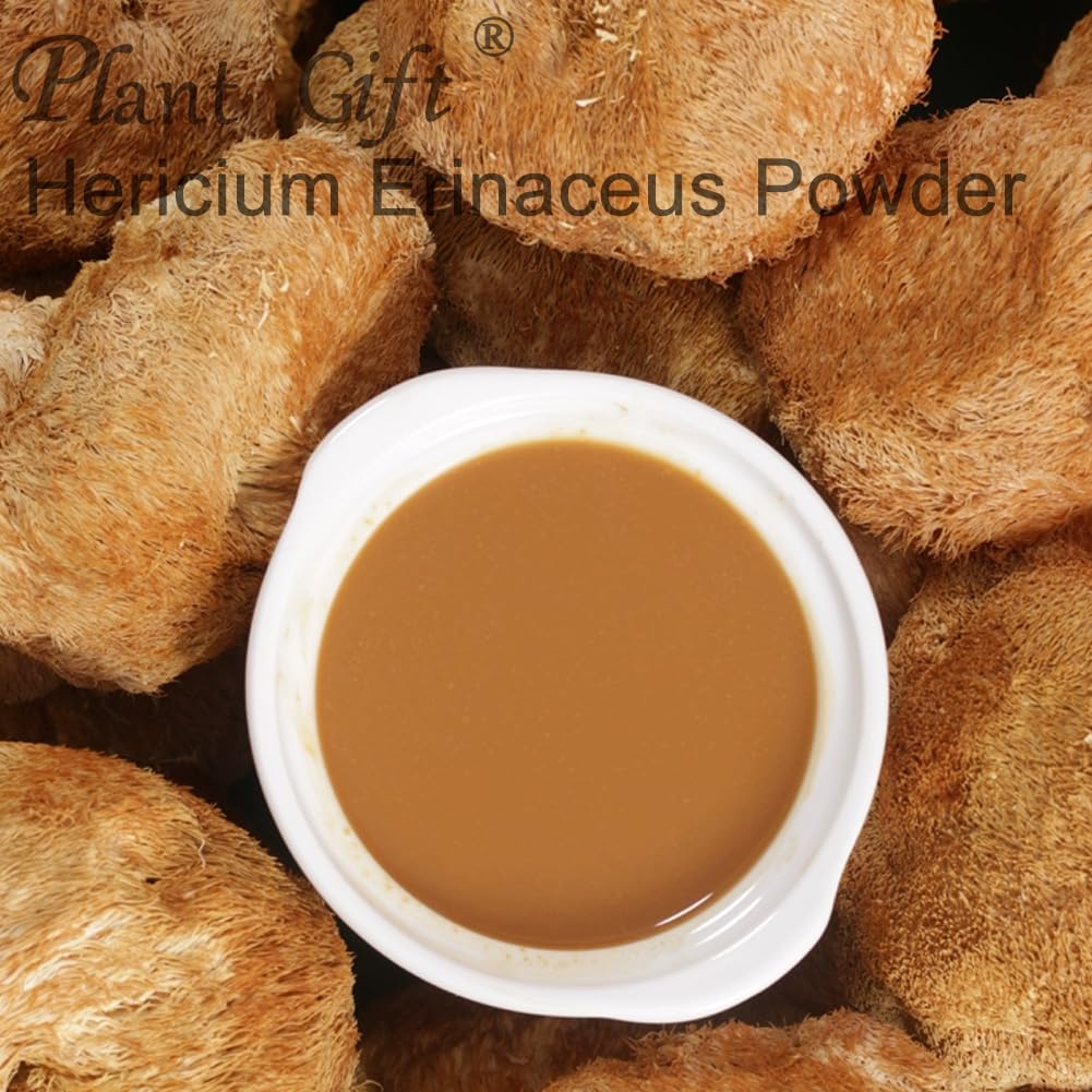 Plant Gift Hericium Erinaceus Powder, Lions Mane Mushroom Powder, 3.53 oz
