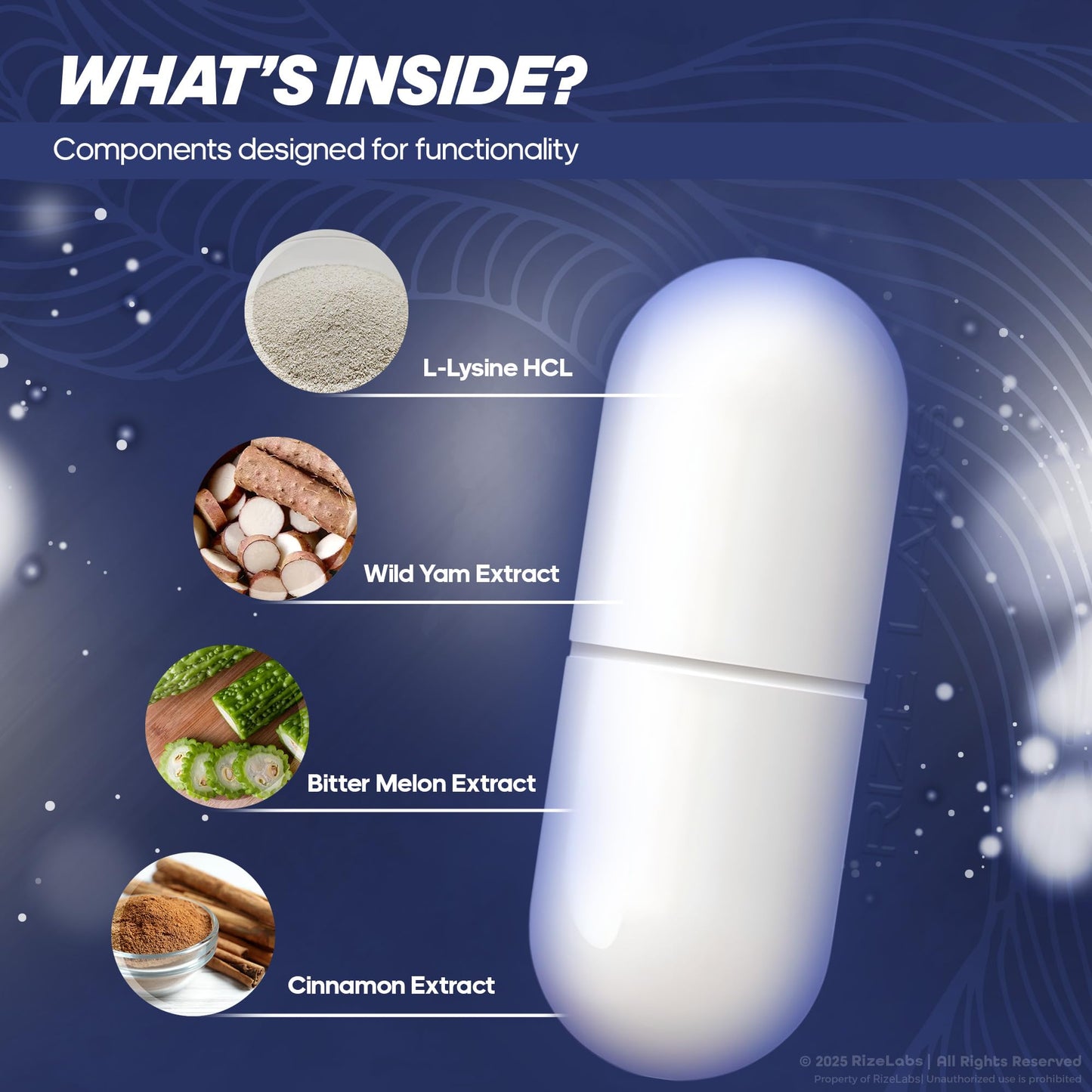 rize labs Mind Vitality Capsule, 60 Capsules