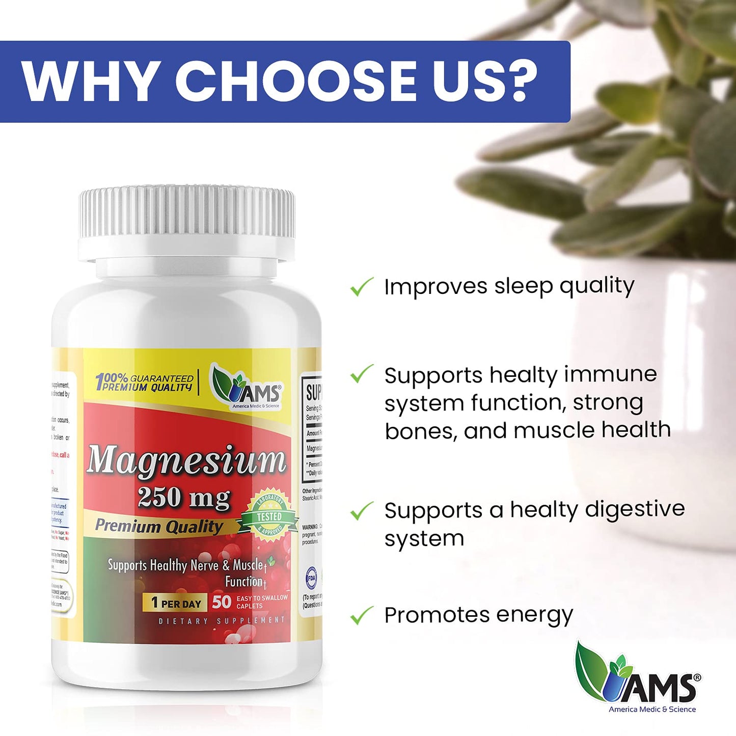 America Medic & Science Magnesium 250 mg Capsules, 100-Count