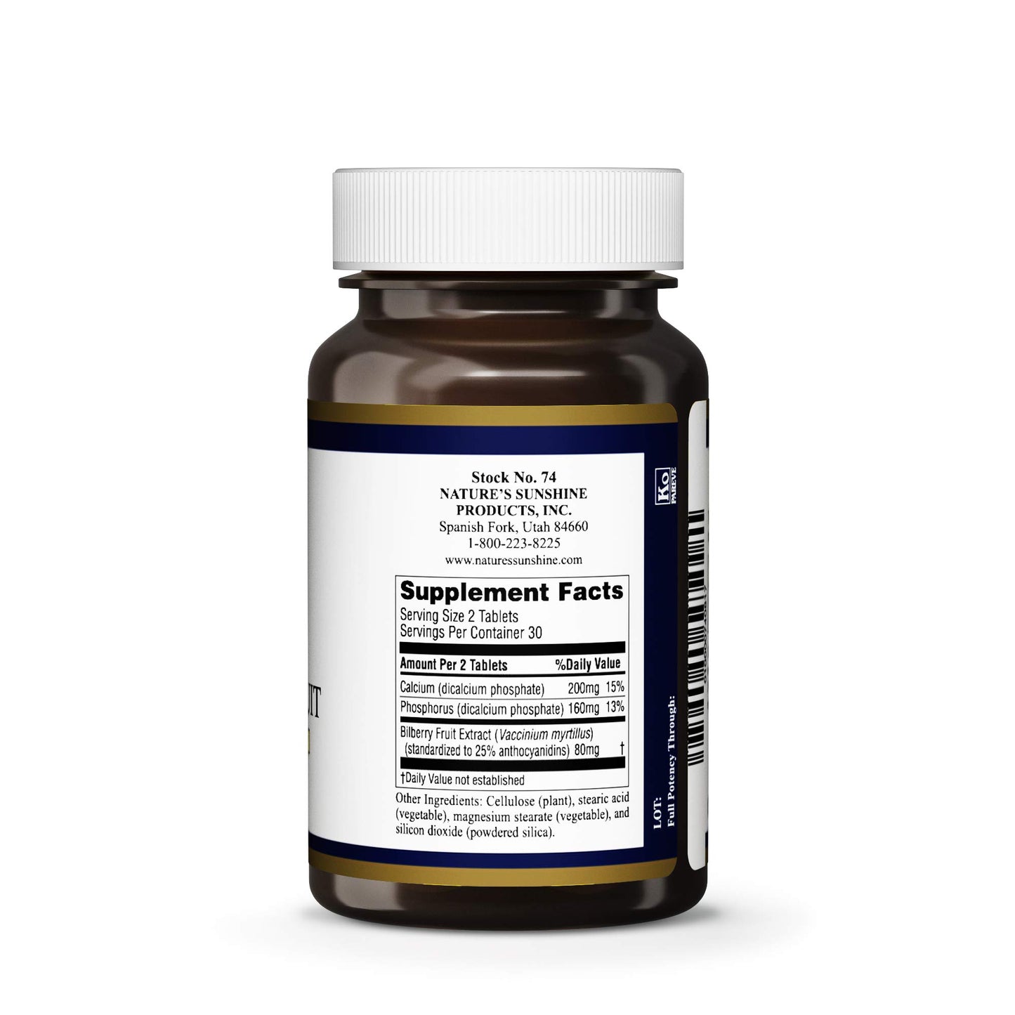 Xllent Bilberry Fruit Concentrate Tablet 60 Count