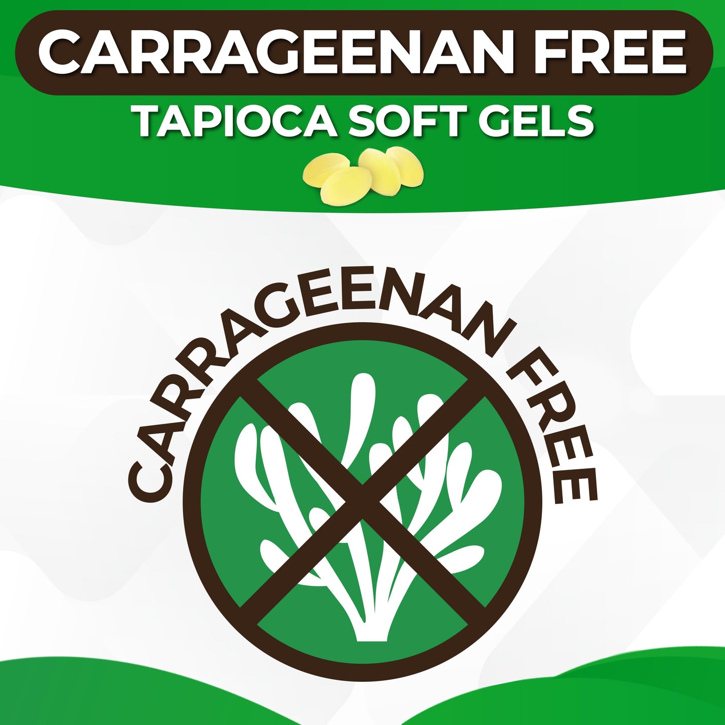 GoodEarth Nutrition Vegan Omega 3 - Carrageenan Free Plant Based Algal DHA/EPA Softgels, 60 Count