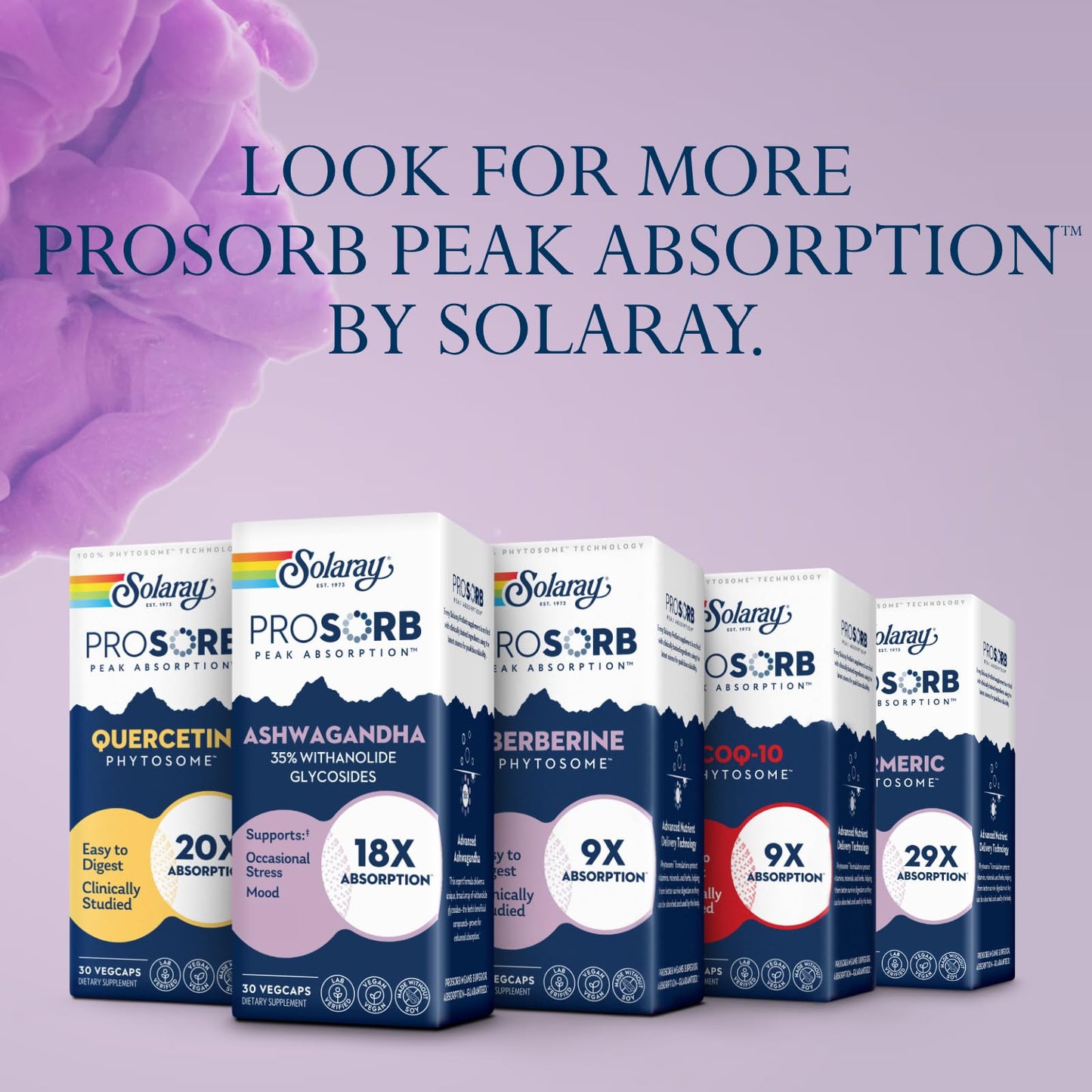 SOLARAY Ashwagandha Capsules 30 VegCaps
