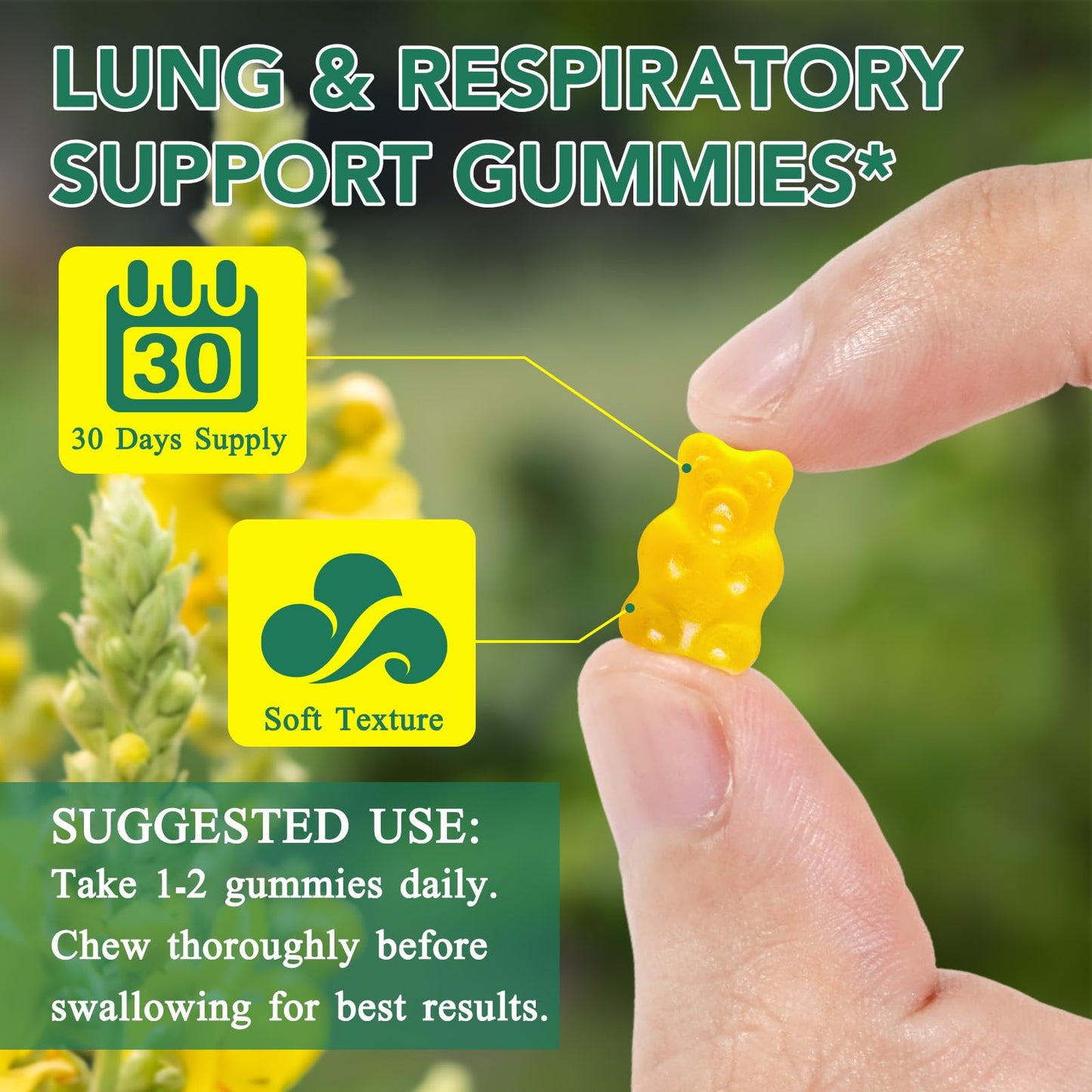 BOIUOITI Mullein Gummies for Lung Cleanse Gummy, 60 Count
