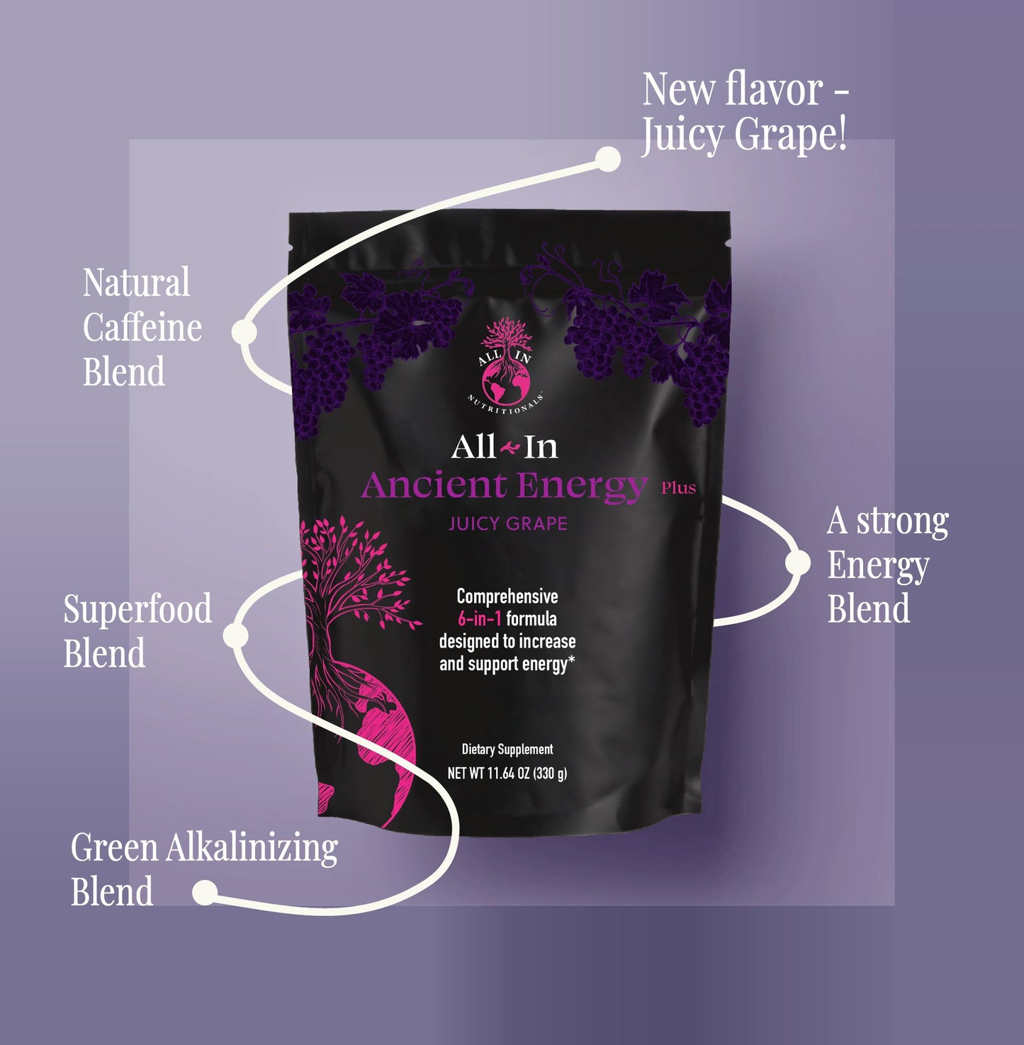 All In Nutritionals Ancient Energy Plus Powder 11.64 Ounce