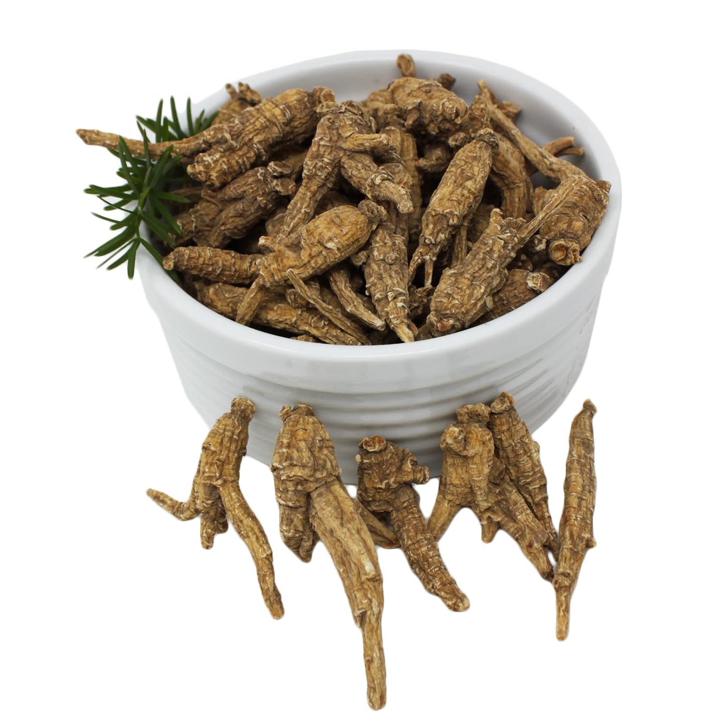 DABC OAK LAND Wisconsin American Ginseng 8 Tablets