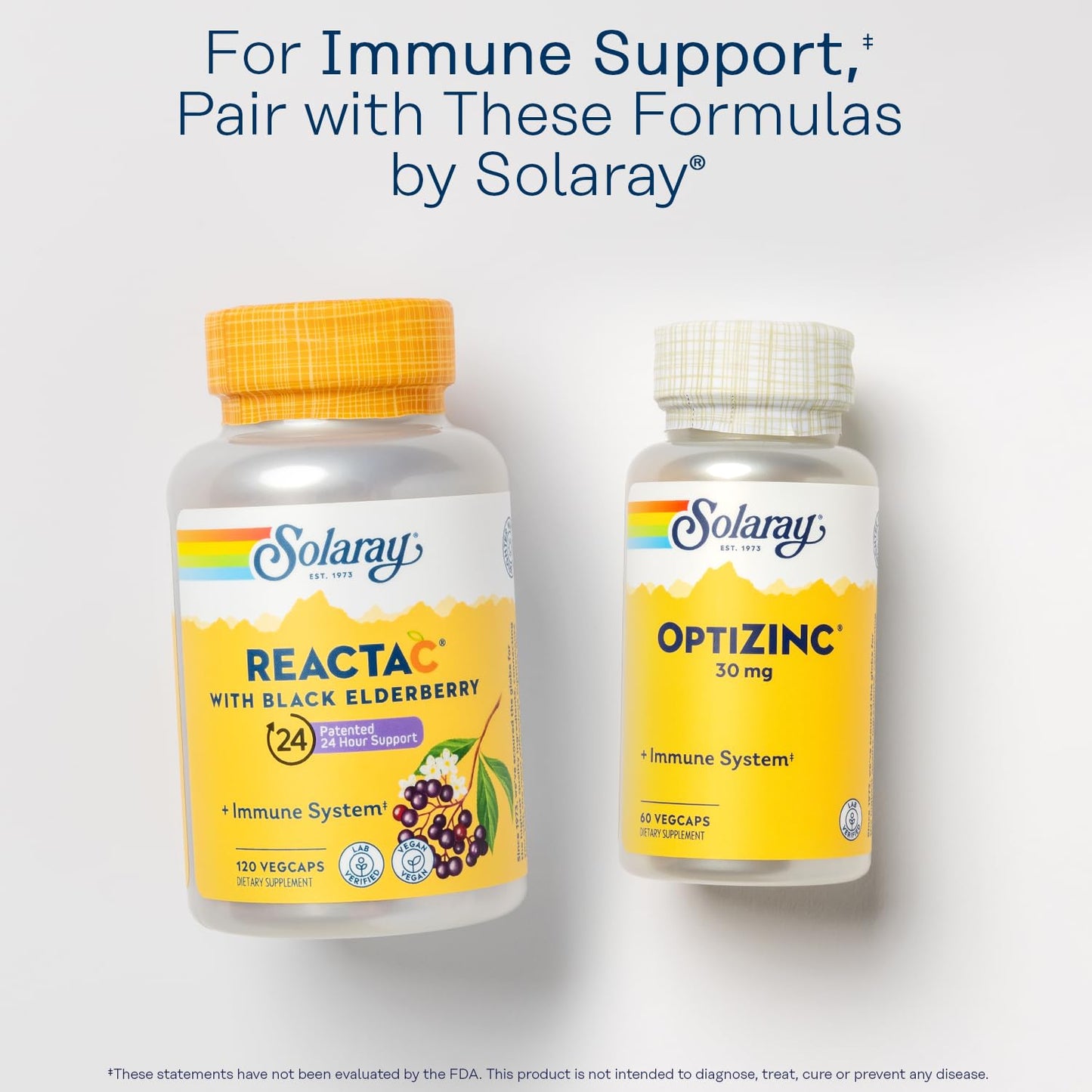 SOLARAY Reishi Mushroom 600mg Capsule, 100 Count