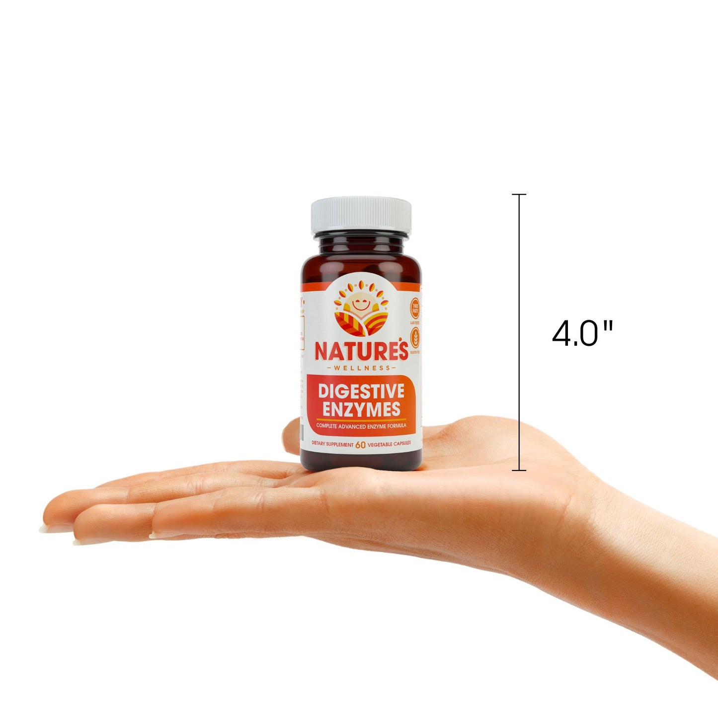 Natures Wellness Digestive Enzymes Complete - Advanced Multi Enzyme Supplement Capsule, 60 Count