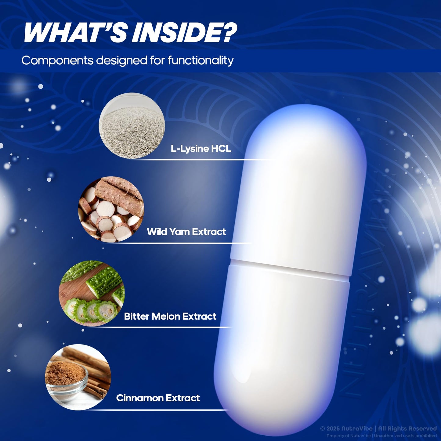 NutraVibe Mind Guard Daily Focus & Memory Support Capsules 120