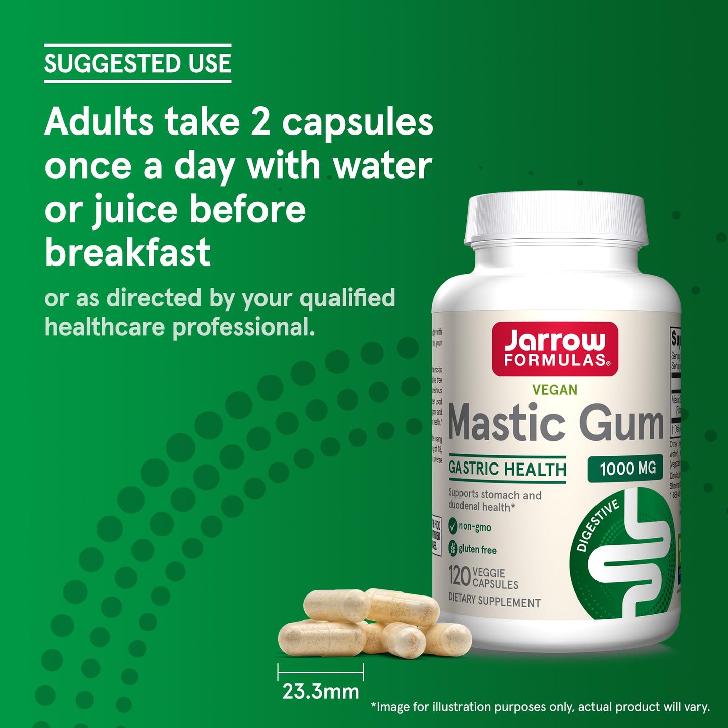 Jarrow Formulas Mastic Gum 1000 mg Veggie Capsules, 120 Count