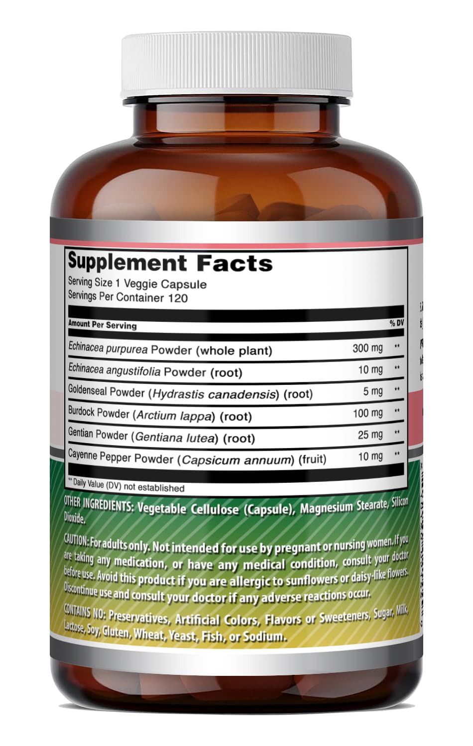 Amazing Nutrition Echinacea with Goldenseal Supplement 120 Capsules
