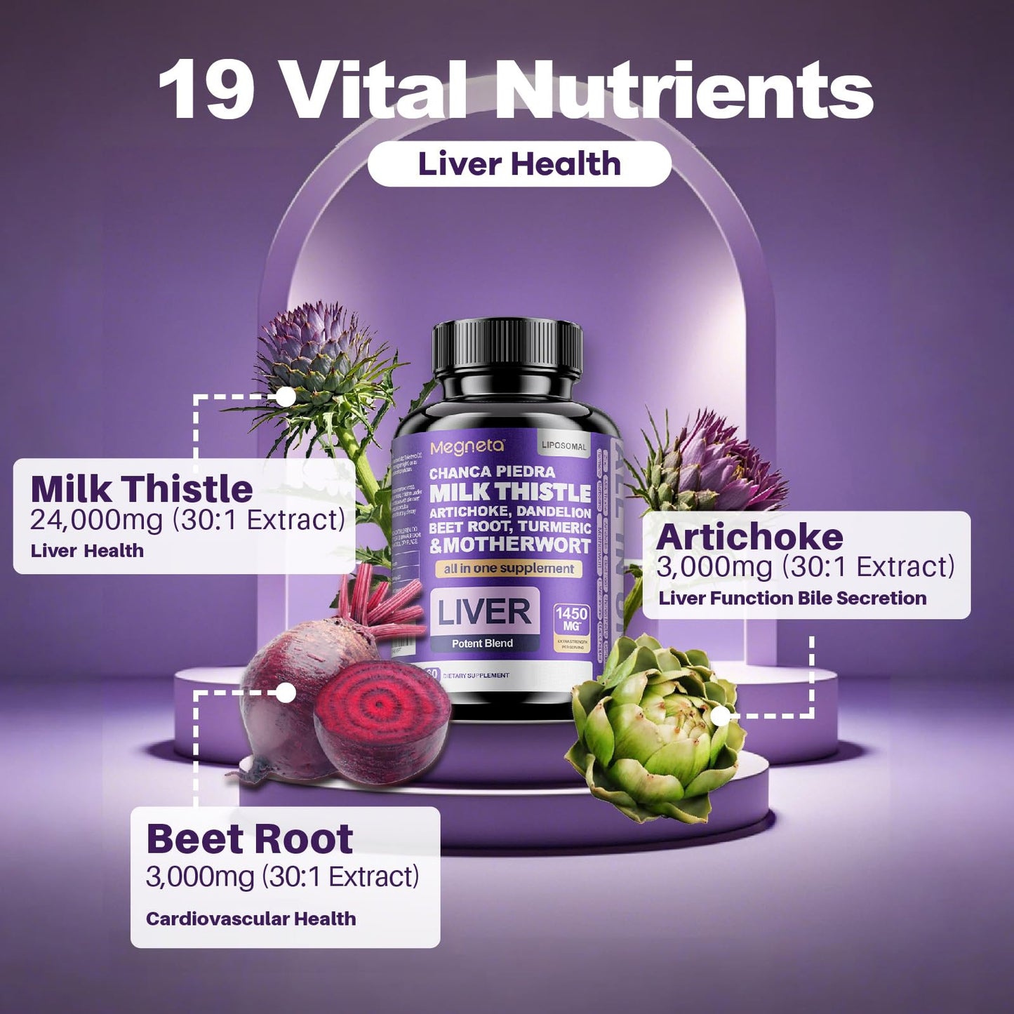 MEGNETA Milk Thistle Supplement 120 Capsules