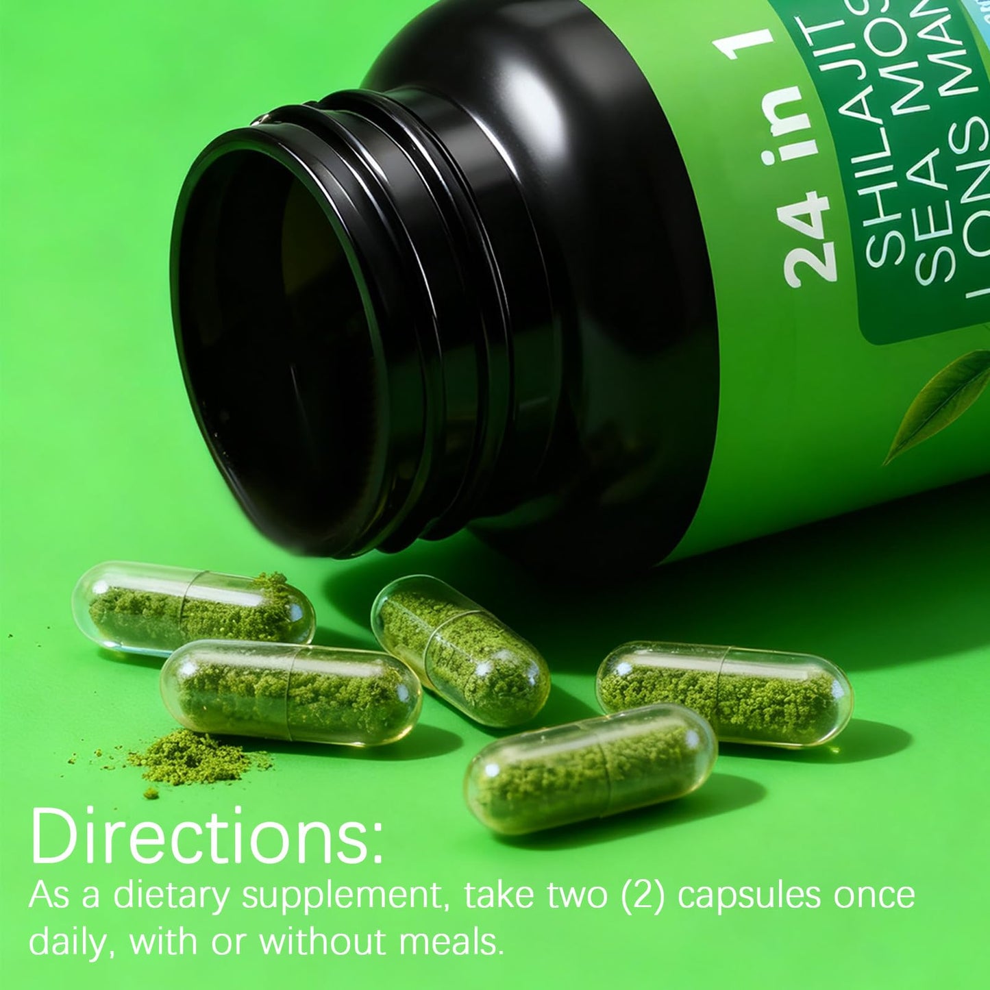 ZYGCDZ Soursop with 24-in-1 Herbal Blend Capsules, 60 Count