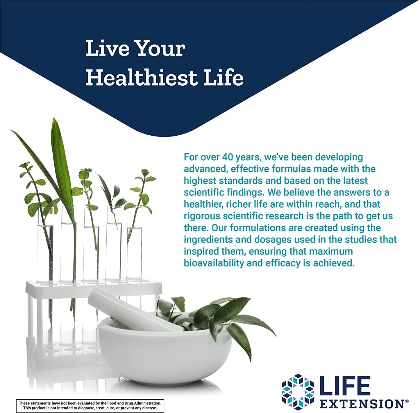 Life Extension L-Theanine Capsule 120 Capsules