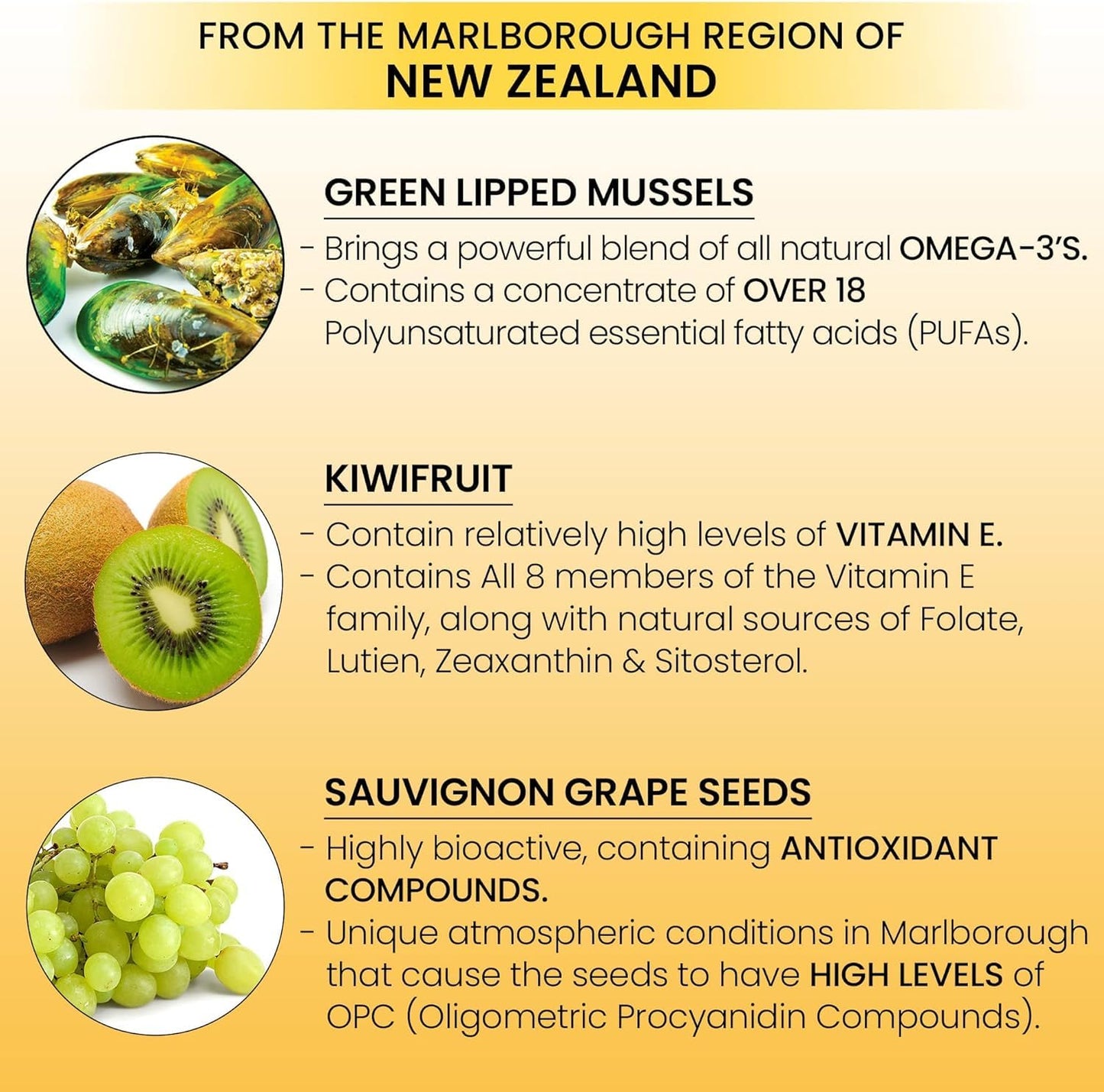 Moxxor Omega 3 New Zealand Green Lipped Mussel Oil Softgels 240