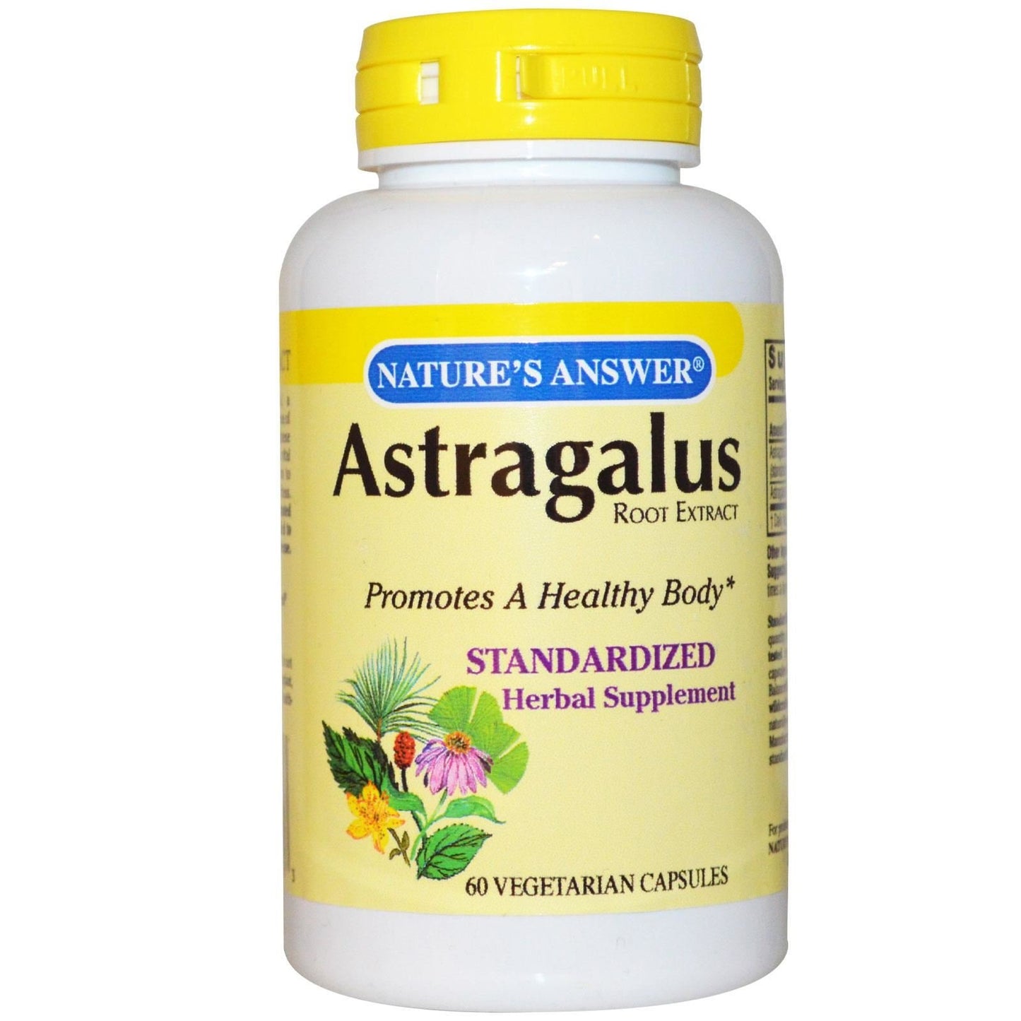 Nature's Answer Astragalus Root Capsules 60 Count