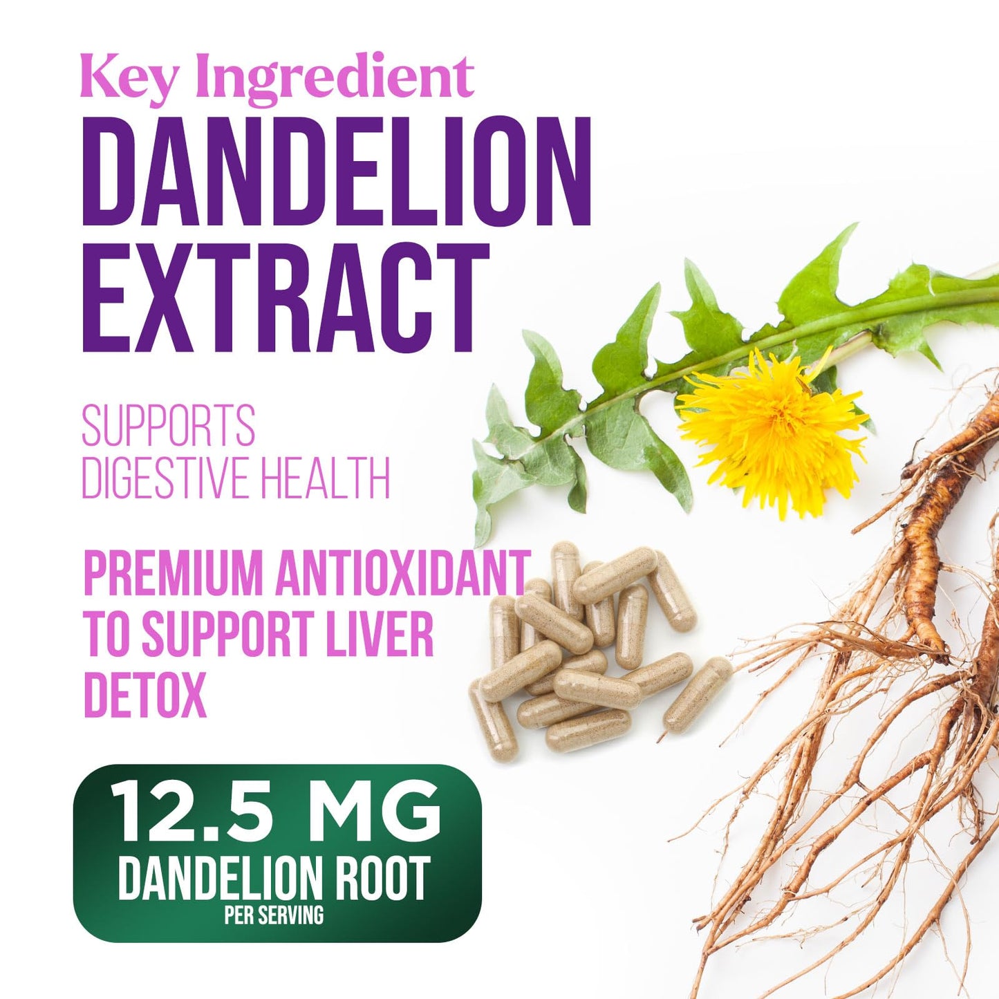Nature's Nutrition Milk Thistle Extract Capsules 120 Count