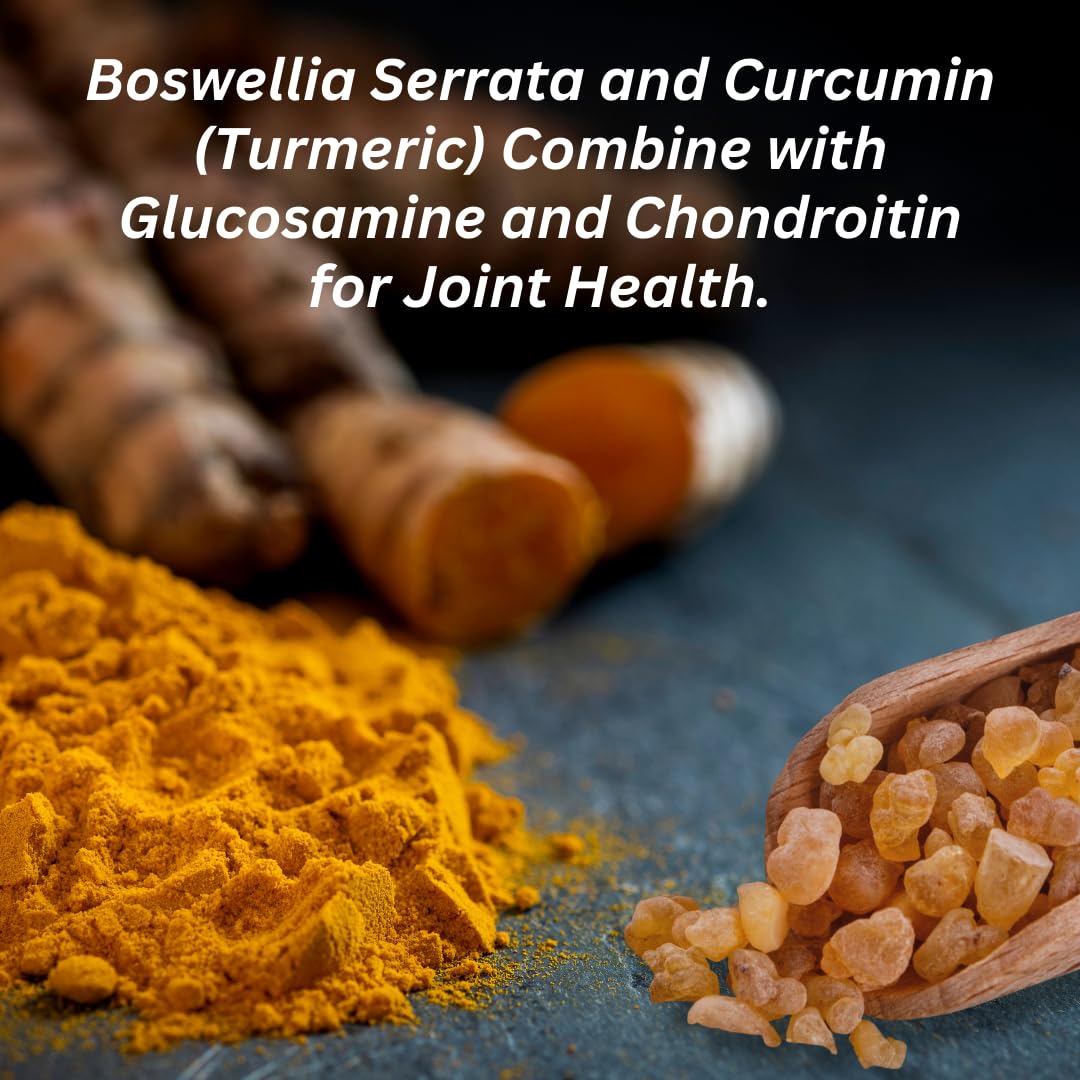 INVIGOFLEX AMPM Glucosamine & Chondroitin Sulfate Turmeric Curcumin Boswellia Serrata Caplets 120