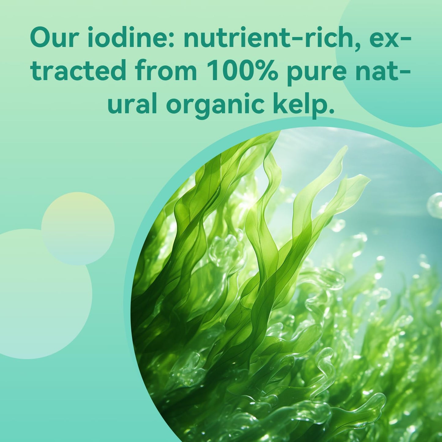 Babivek Iodine Supplement from Sea Vegetable Complex, 60 Vegan Capsules
