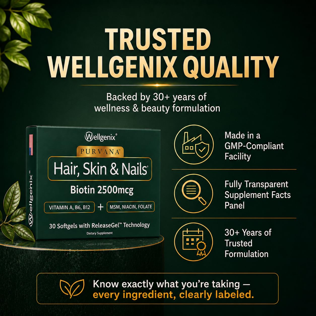 Wellgenix Purvana Hair Skin and Nails Supplement – 2500mcg Biotin Softgels with MSM & B-Complex – Daily Beauty Support for Stronger Nails & Hair Vitality, 60 Softgels