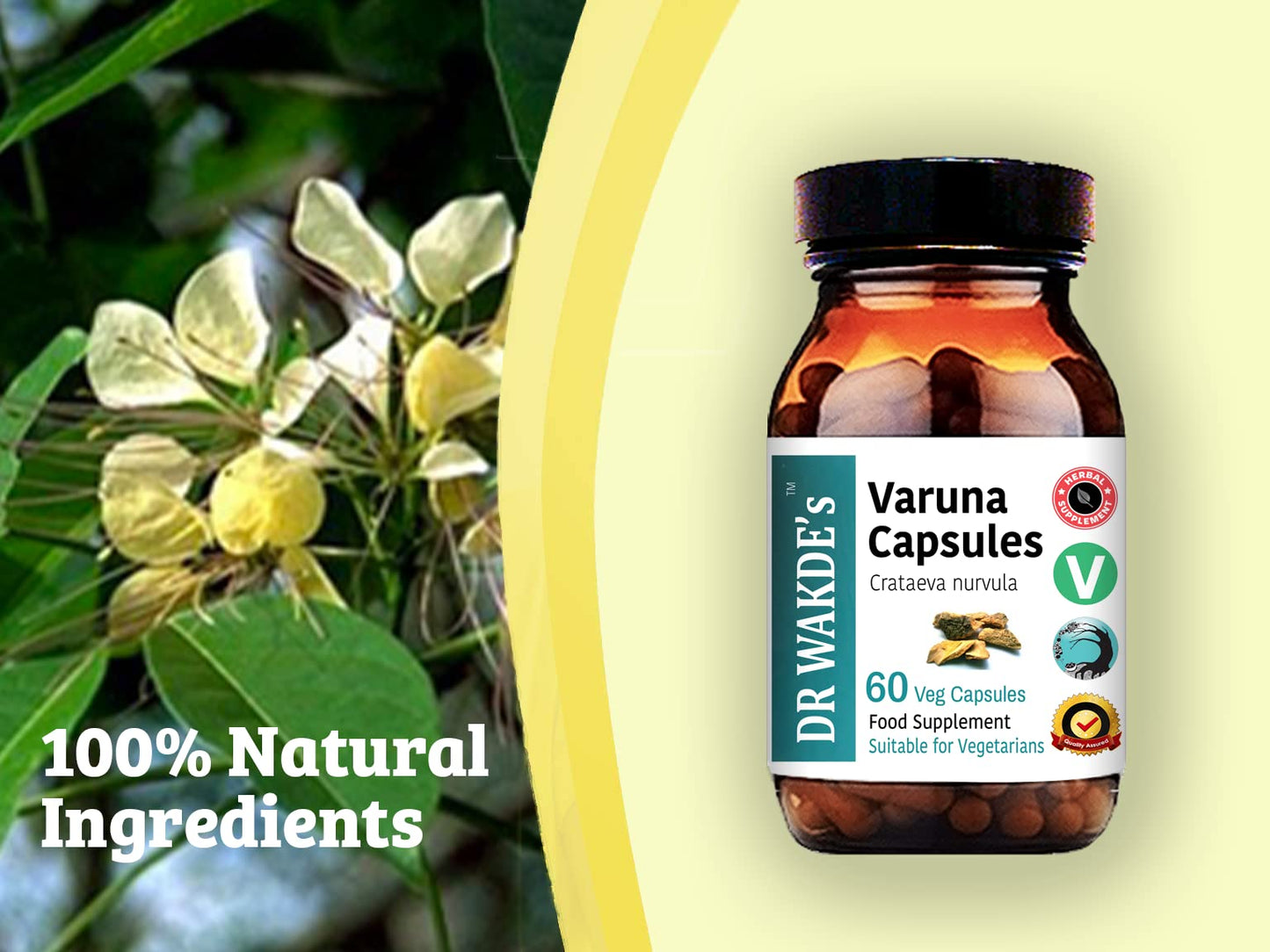 DR WAKDE's Varuna Capsules (Crataeva nurvula) 500mg, 1 Count