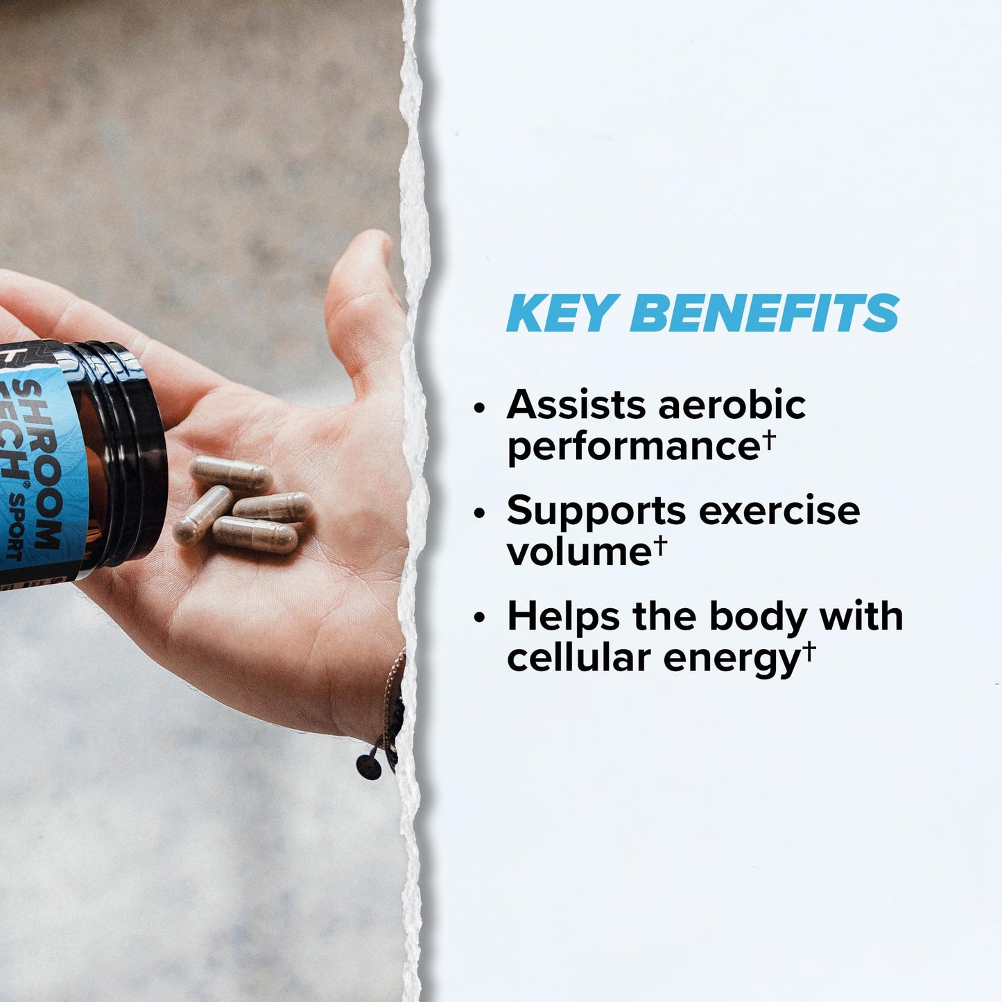 ONNIT Shroom Tech Sport Daily Exercise Support Capsules, Pre Workout Supplement with Cordyceps Mushrooms, Dietary Supplement for Daily Energy Support, 84 Count