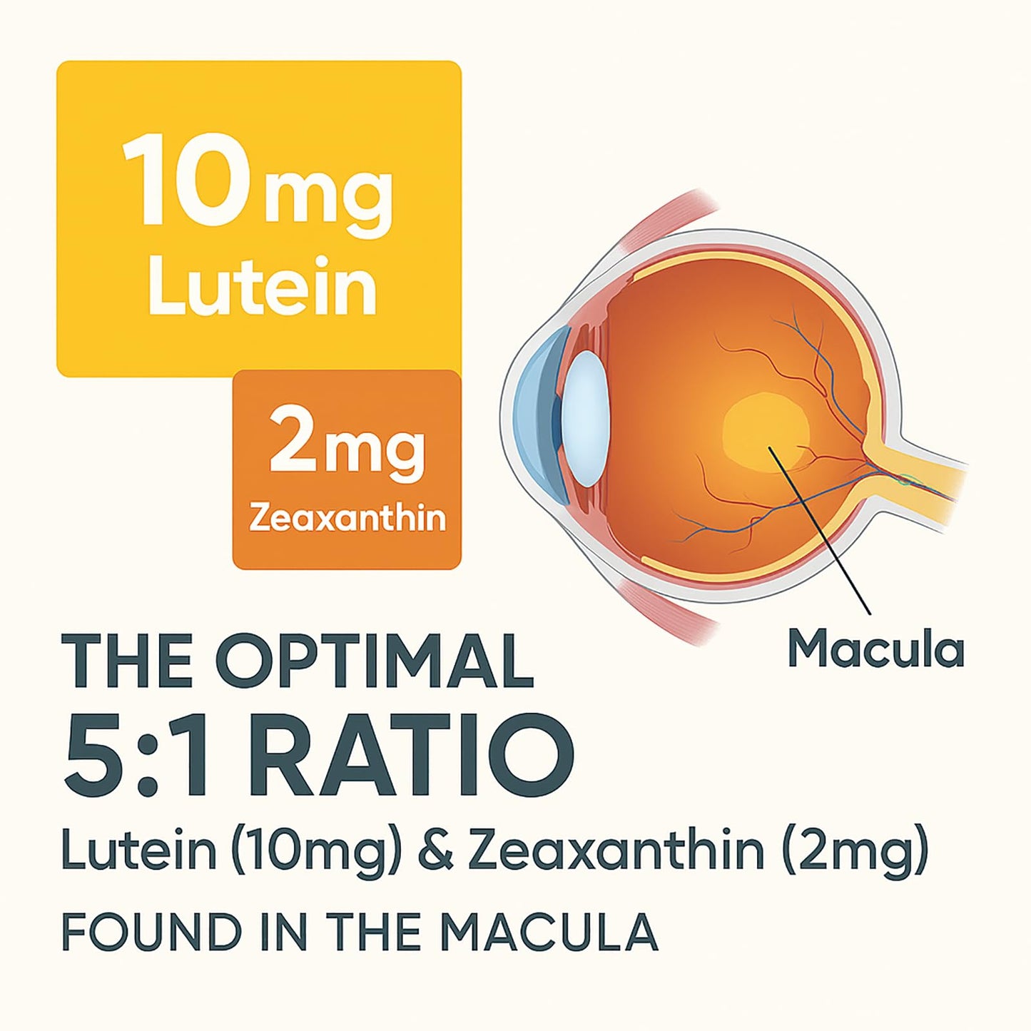 EVERVISION 14 in 1 Advanced Eye Formula Eye Vitamins & Minerals Supplement with Lutein, Zeaxanthin, Astaxanthin, Bilberry, Zinc, 60 Capsules