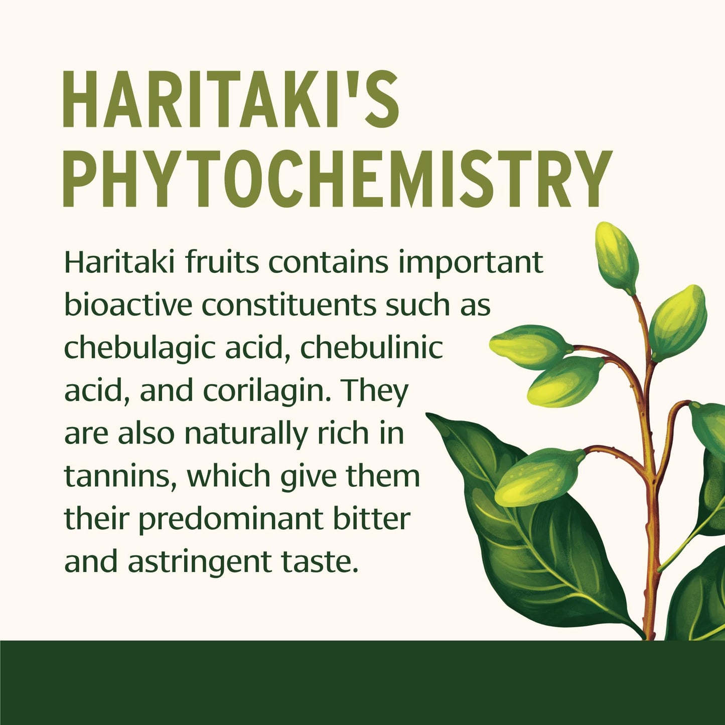 Banyan Botanicals Haritaki Tablets 90 Count