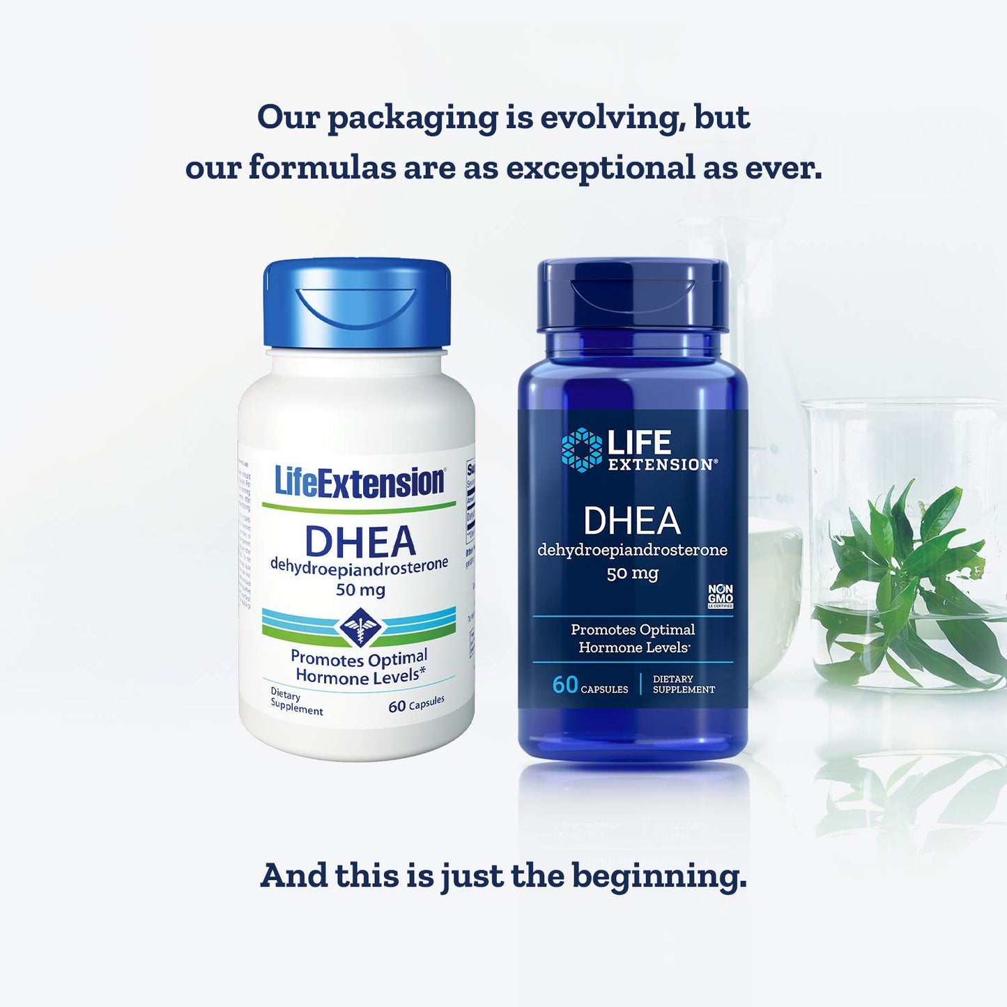Life Extension DHEA 50 Mg Capsules, 120 Count