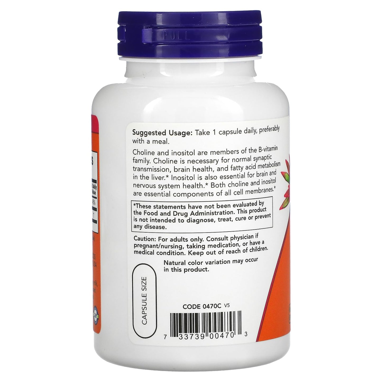 NOW Foods Choline & Inositol 500 Mg Capsules, 100 Capsules
