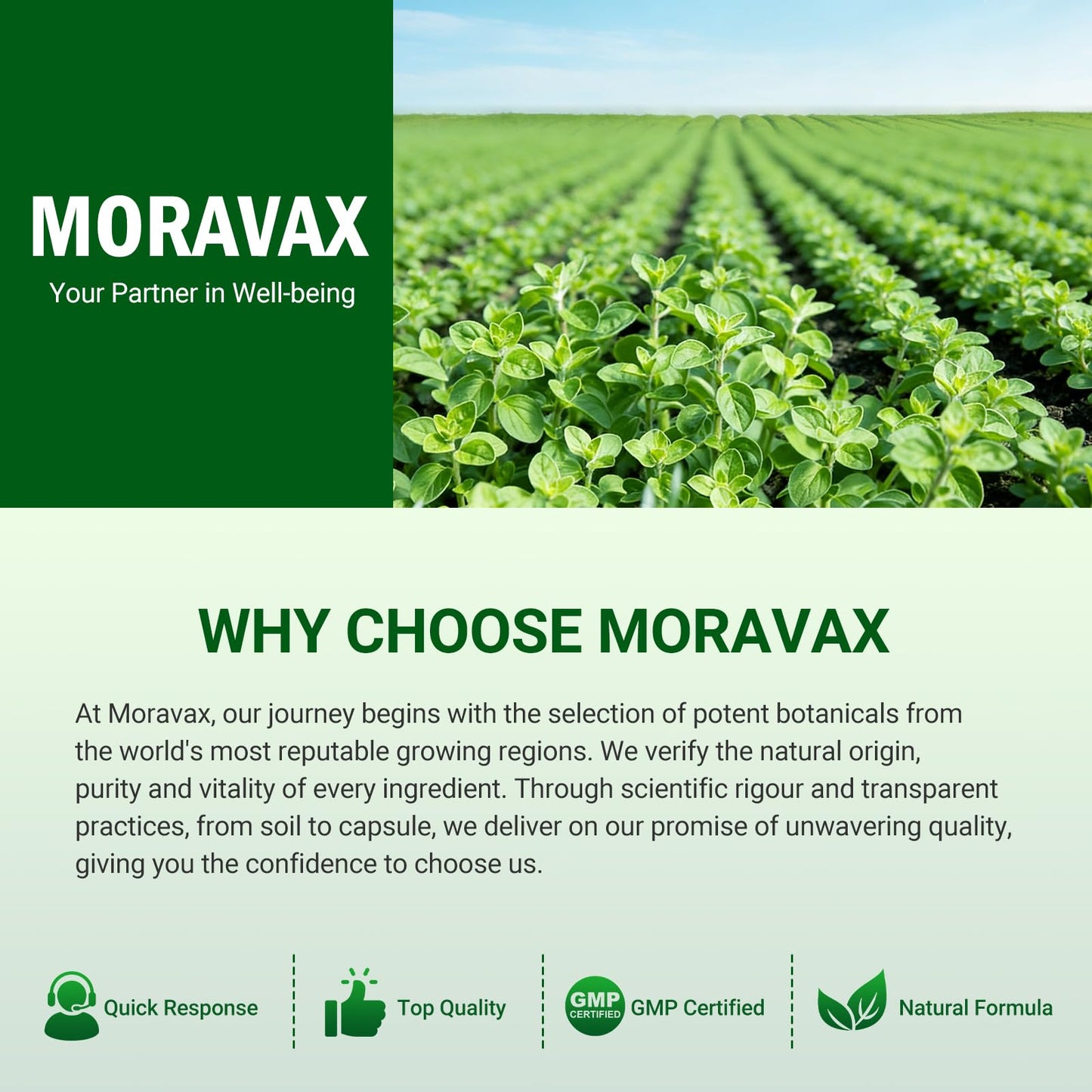 Moravax Oil of Oregano Softgels 300 Softgels