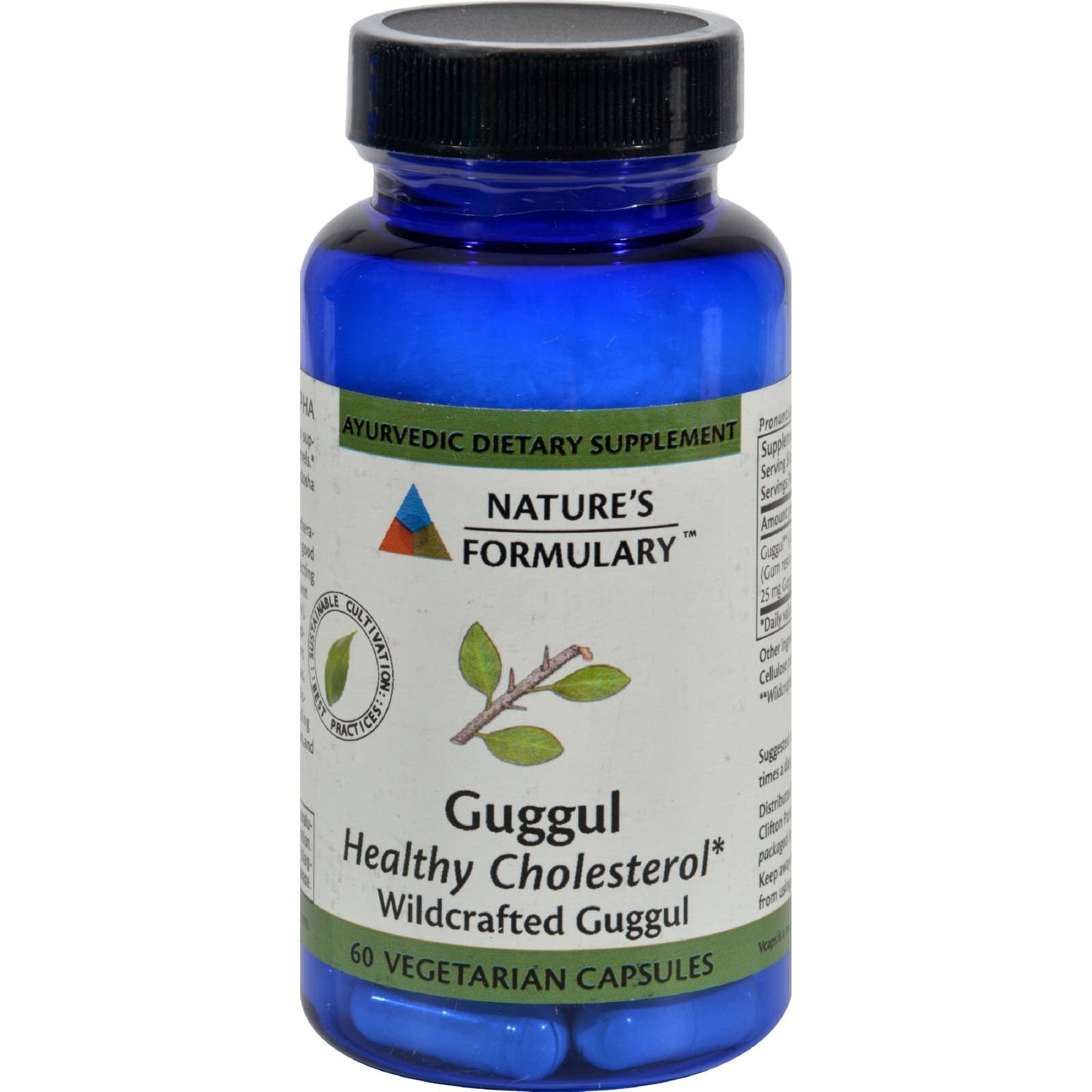 Nature's Formulary Guggul Fat Metabolism 60 Capsules