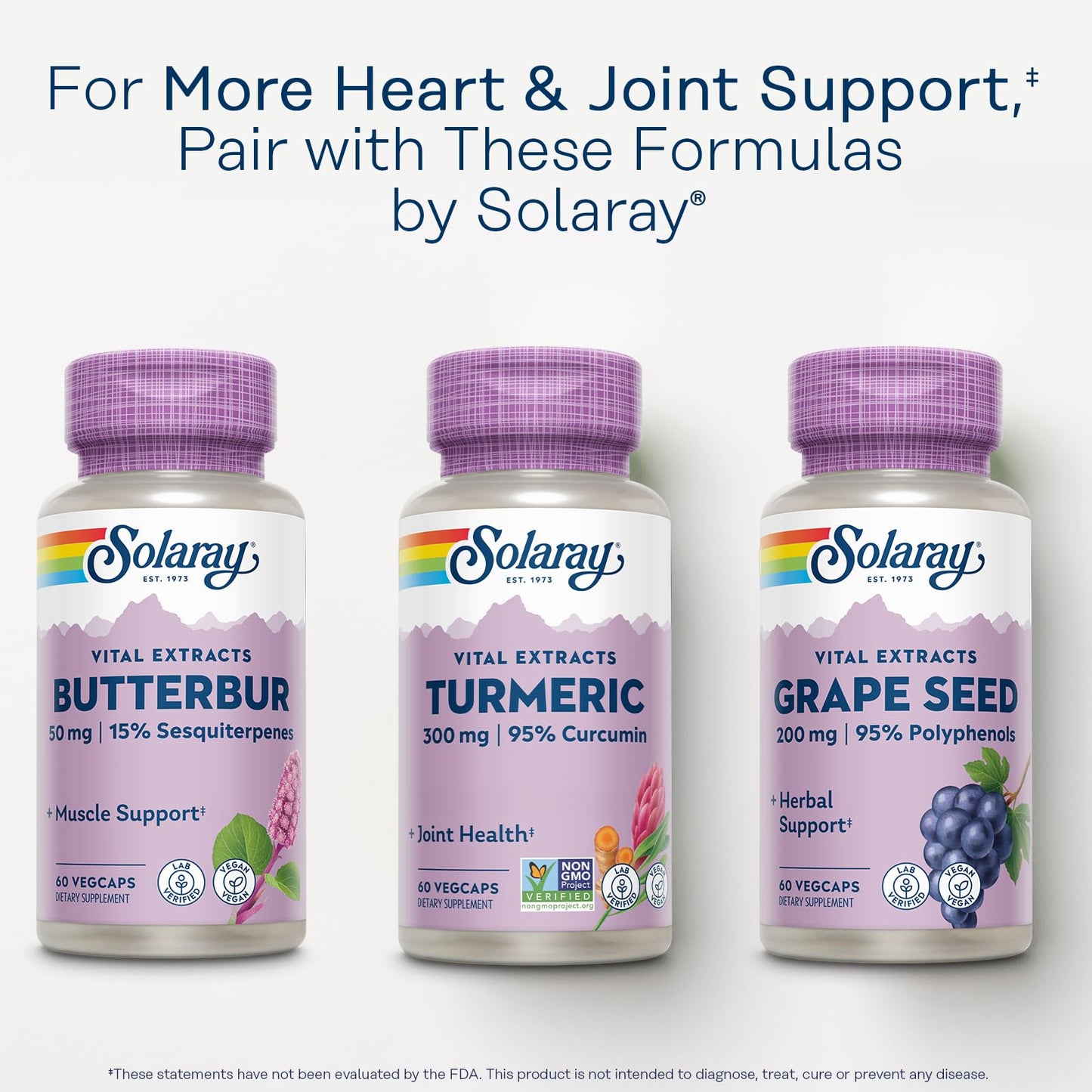 Solaray Turmeric Supplement 300 mg Turmeric Root Extract with 95% Curcumin Joint Support - Non-GMO, Vegan, Gluten Free, 60 Capsules