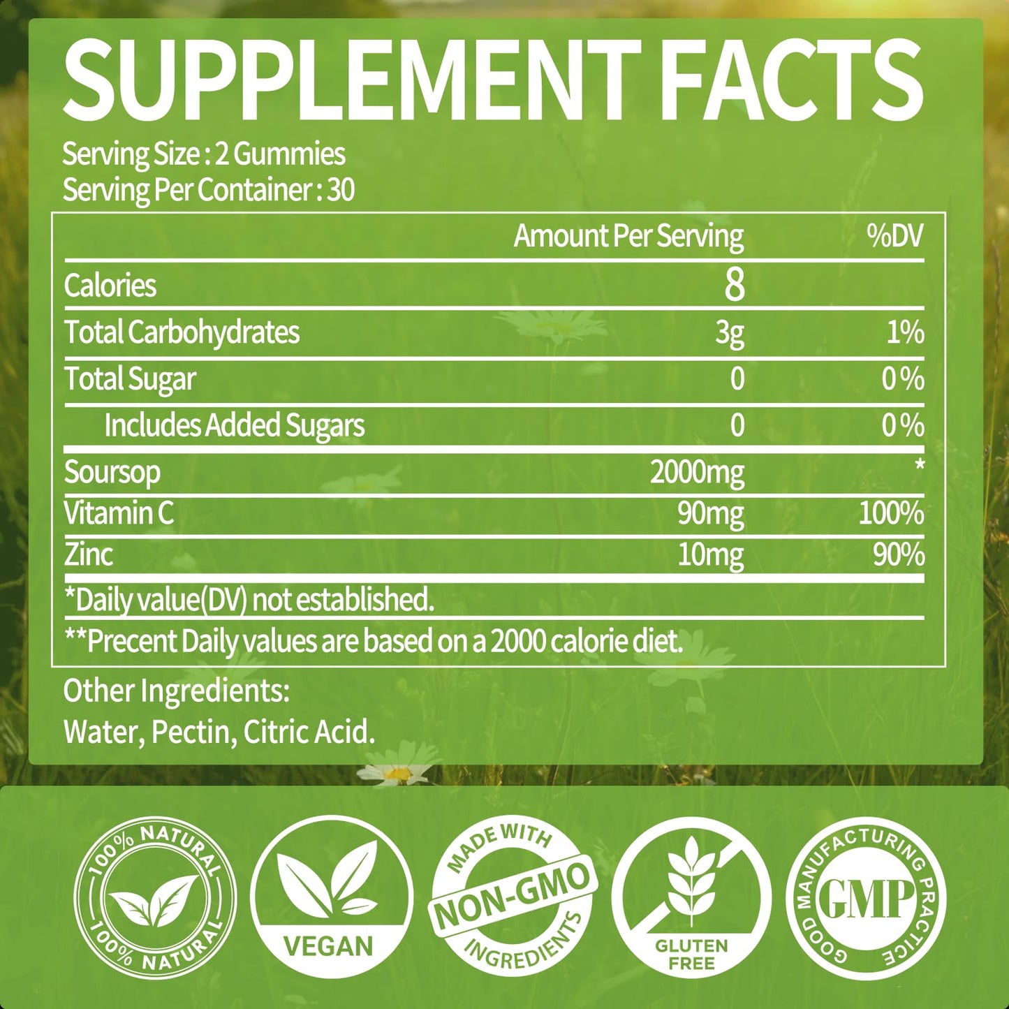OALSE Soursop Graviola Gummies with Vitamin C and Zinc 120 Count