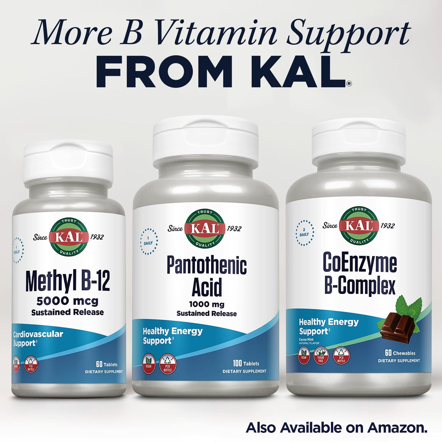 KAL Pantothenic Acid 1000mg Tablet, 100 Tablets
