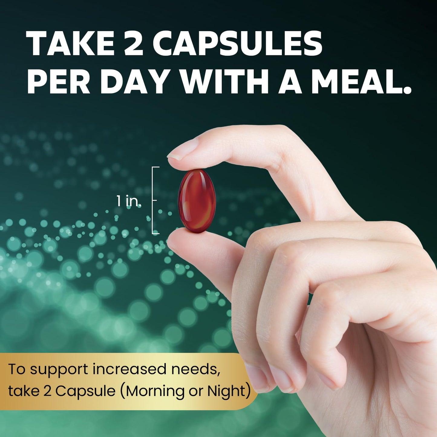 MEGNETA Thyroid Health Supplement with Ashwagandha 200 Capsules