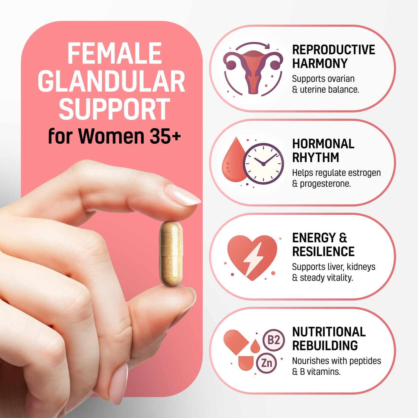 Next Form Beef Organ Supplement for Women 6 in 1 Complex Hormone Balance & Energy, 180 Capsules