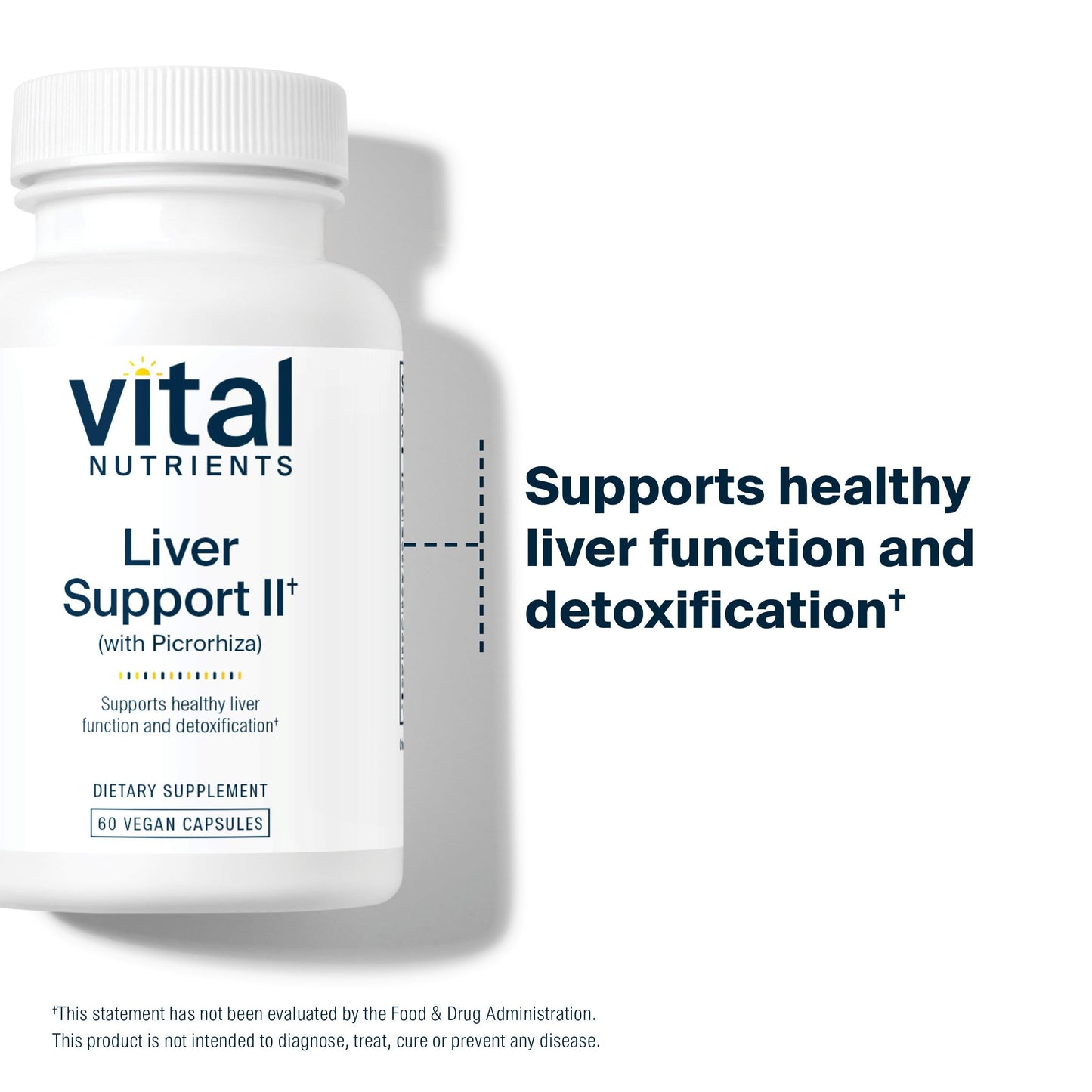 Vital Nutrients Liver Support II with Picrorhiza, Milk Thistle and Curcumin Capsules, 60 Count