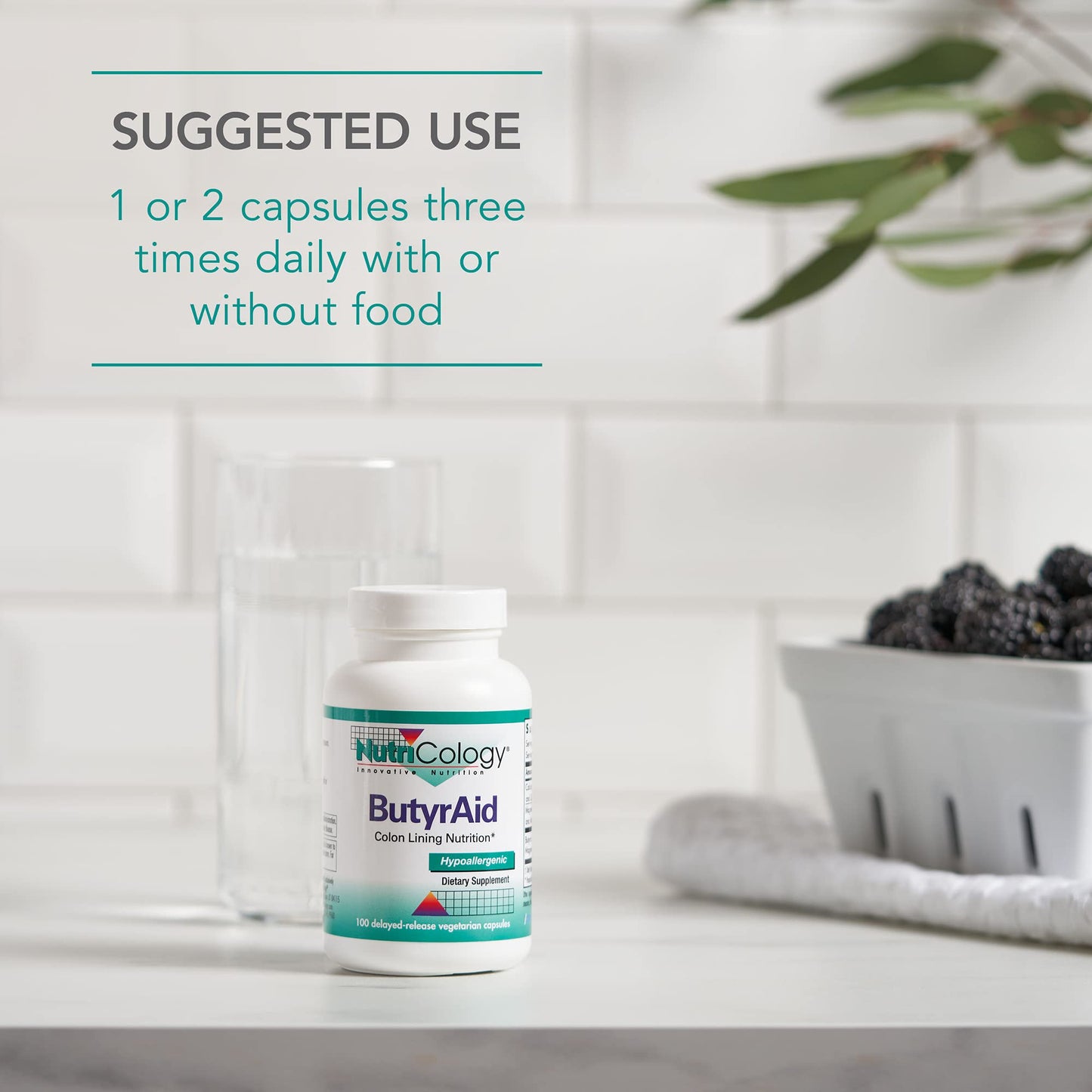 Allergy Research Group NutriCology ButyrAid Colon Lining Nutrition Capsule 100
