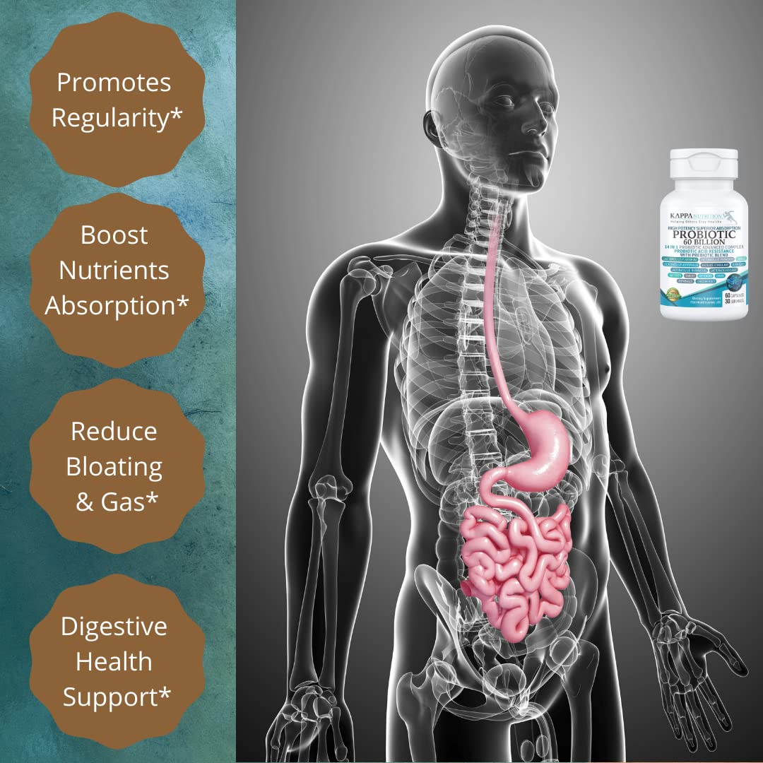 KAPPA NUTRITION Probiotic 60 Billion CFU 14-in-1 Formula with Prebiotics & Acidophilus, 60 Capsules
