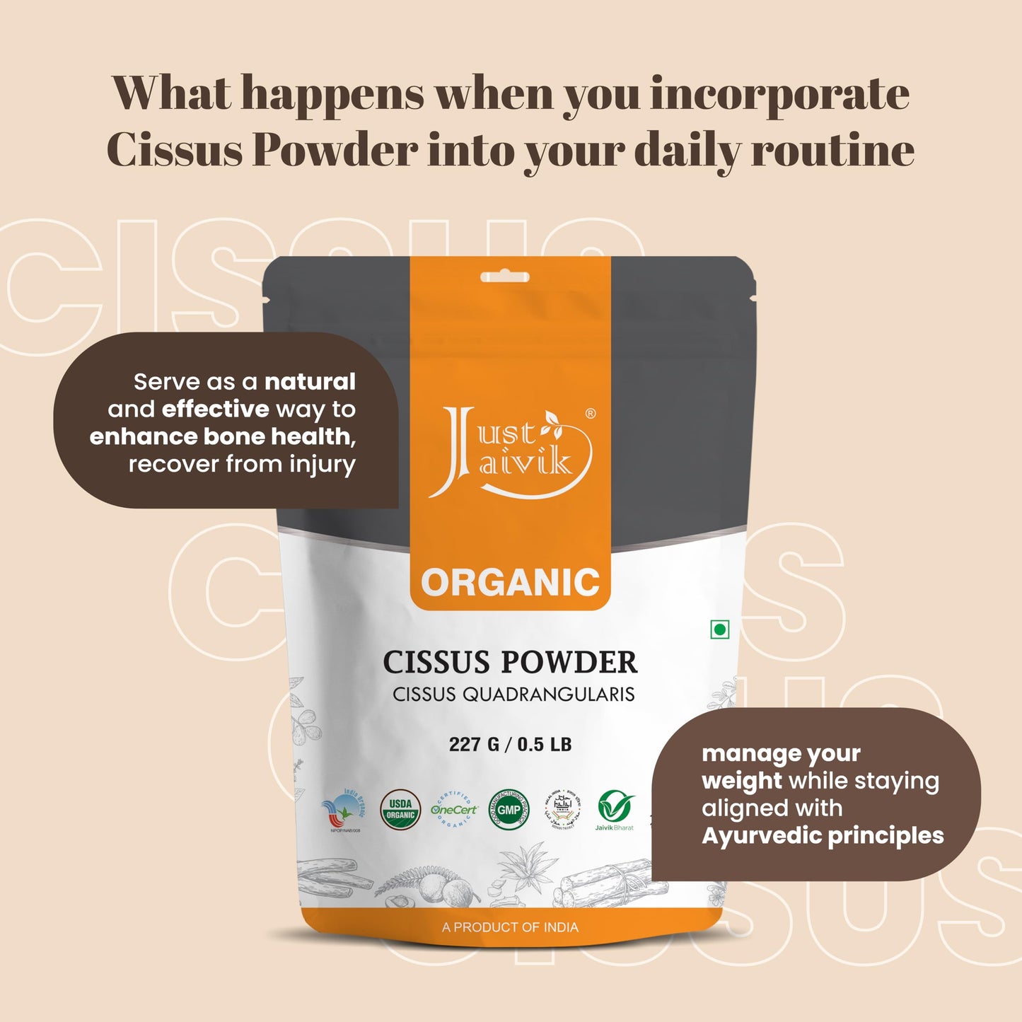 Just Jaivik Cissus Quadrangularis Powder 8 Ounce