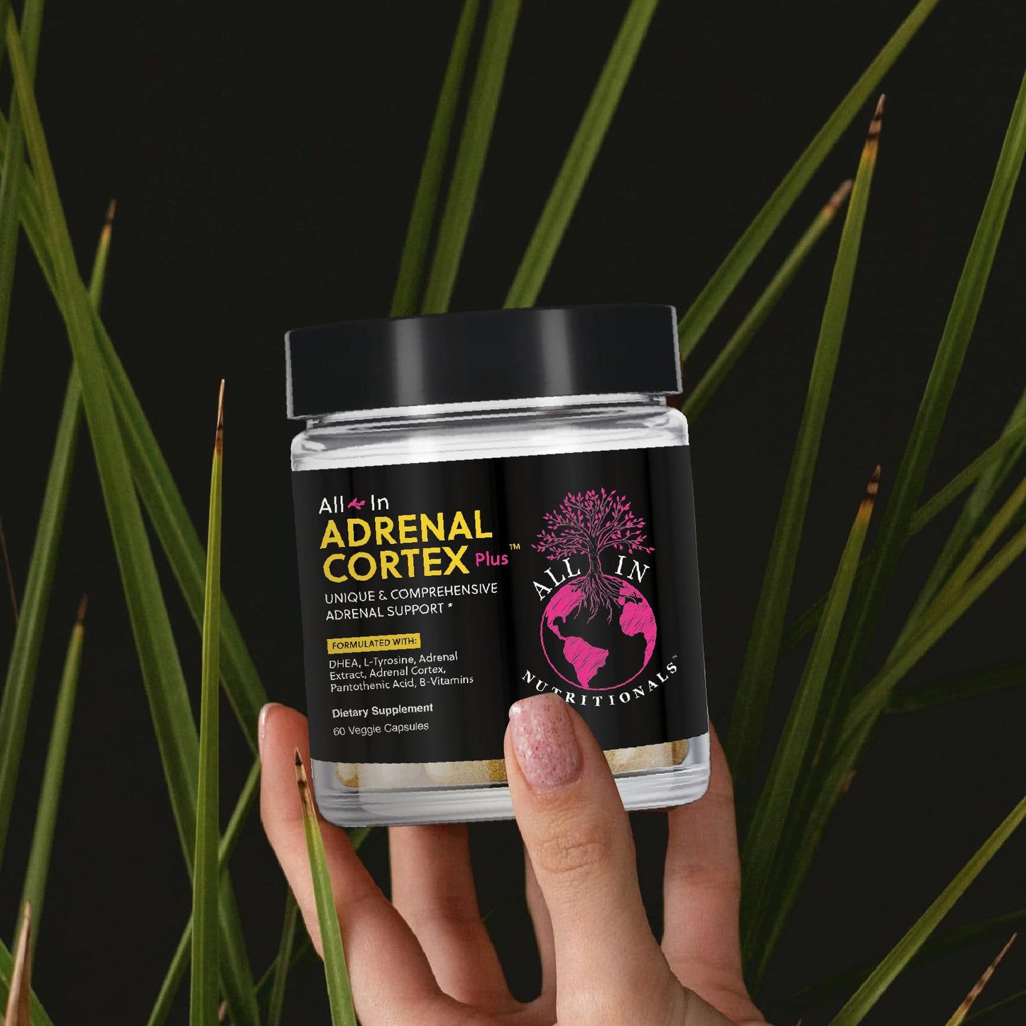All In Nutritionals Adrenal Cortex+ Capsule 60 Count