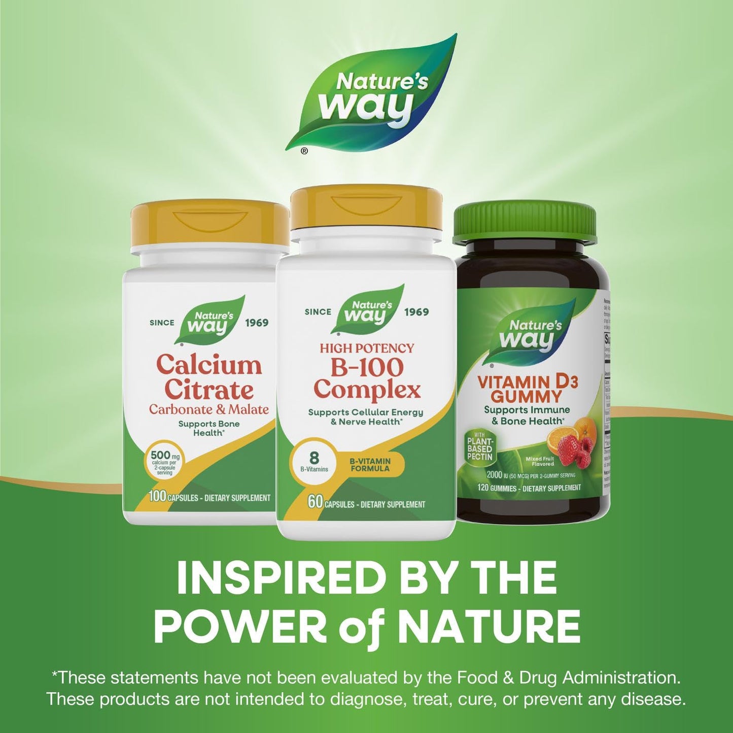 Nature's Way B-100 Complex Capsules 60