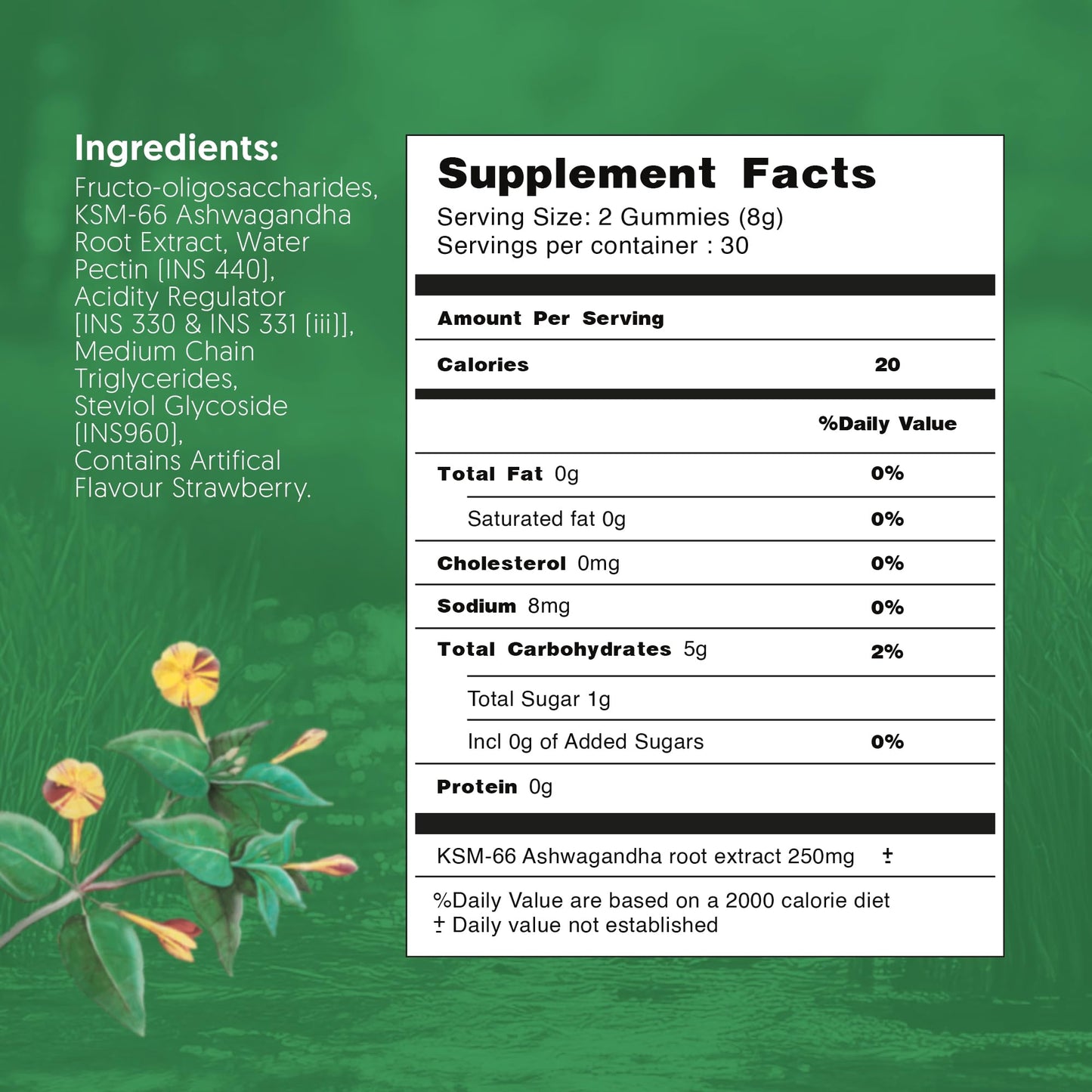 Therapeia Zoi KSM 66 Ashwagandha Gummies, 60 Count