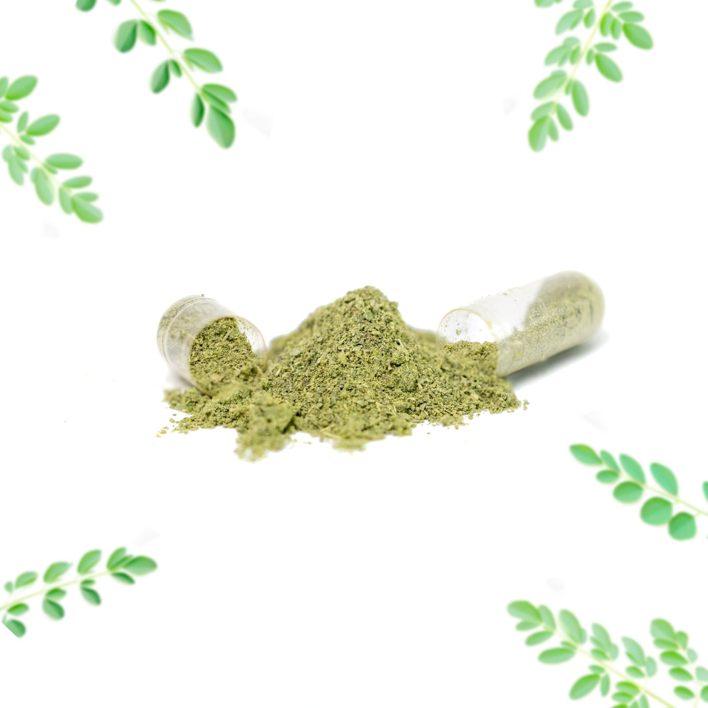 PRIME NATURAL Moringa Powder Capsules, 60 Count