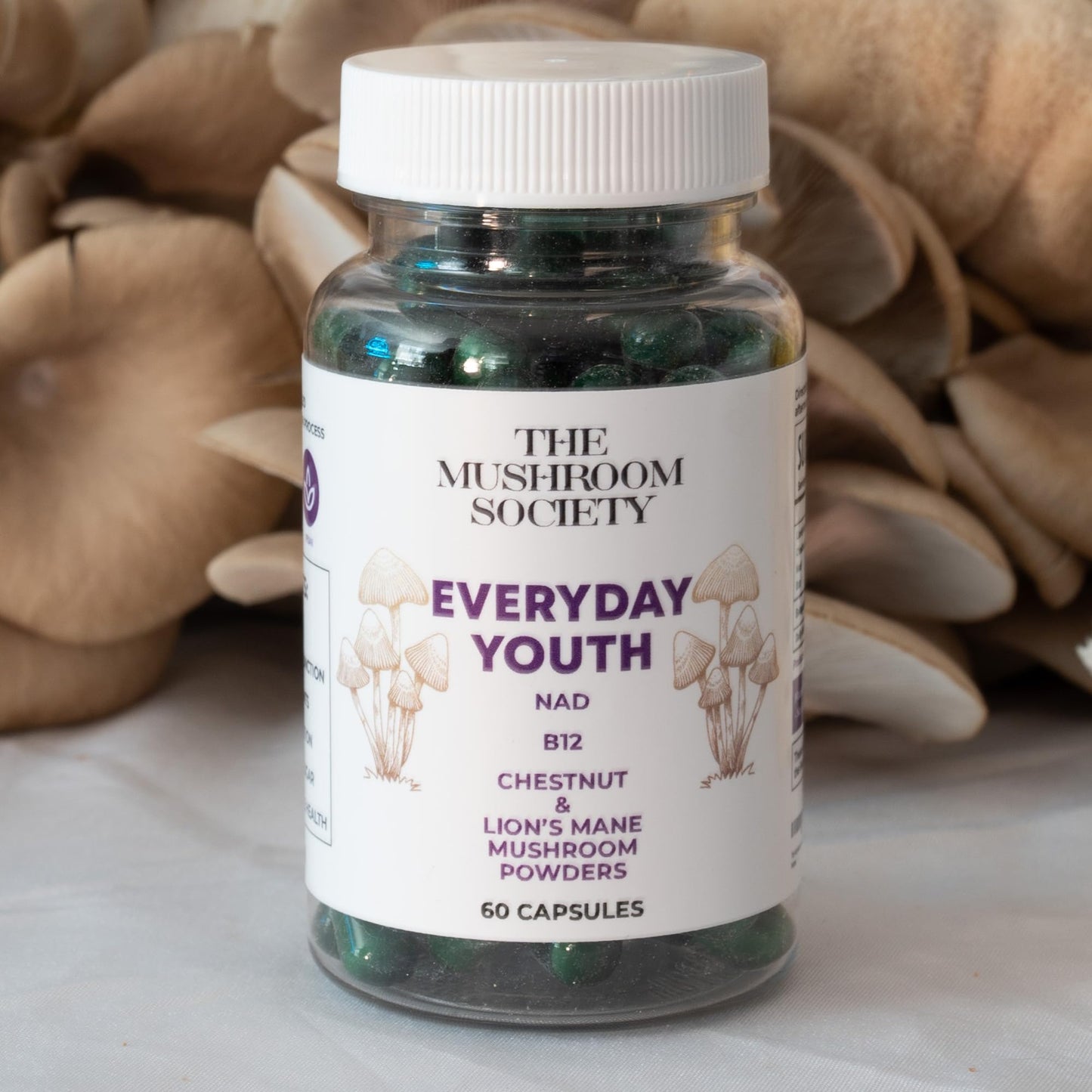 The Mushroom Society Everyday Youth Anti-Aging Supplement Brain & Cellular Energy Formula – Lion’s Mane, Chestnut, NAD, B12 + Beta-Glucans, 60 Capsules